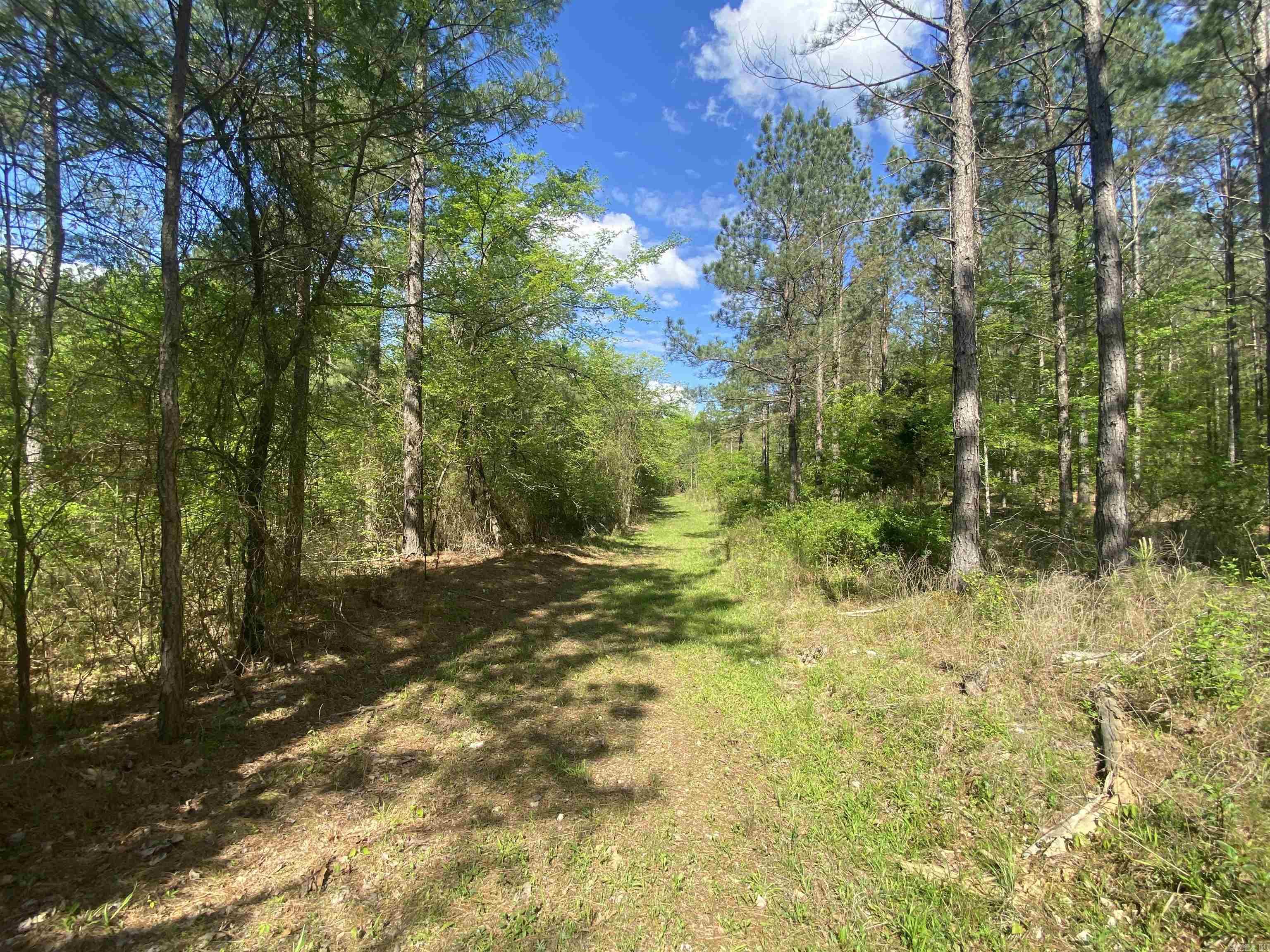 Hwy 240 Property Photo 15