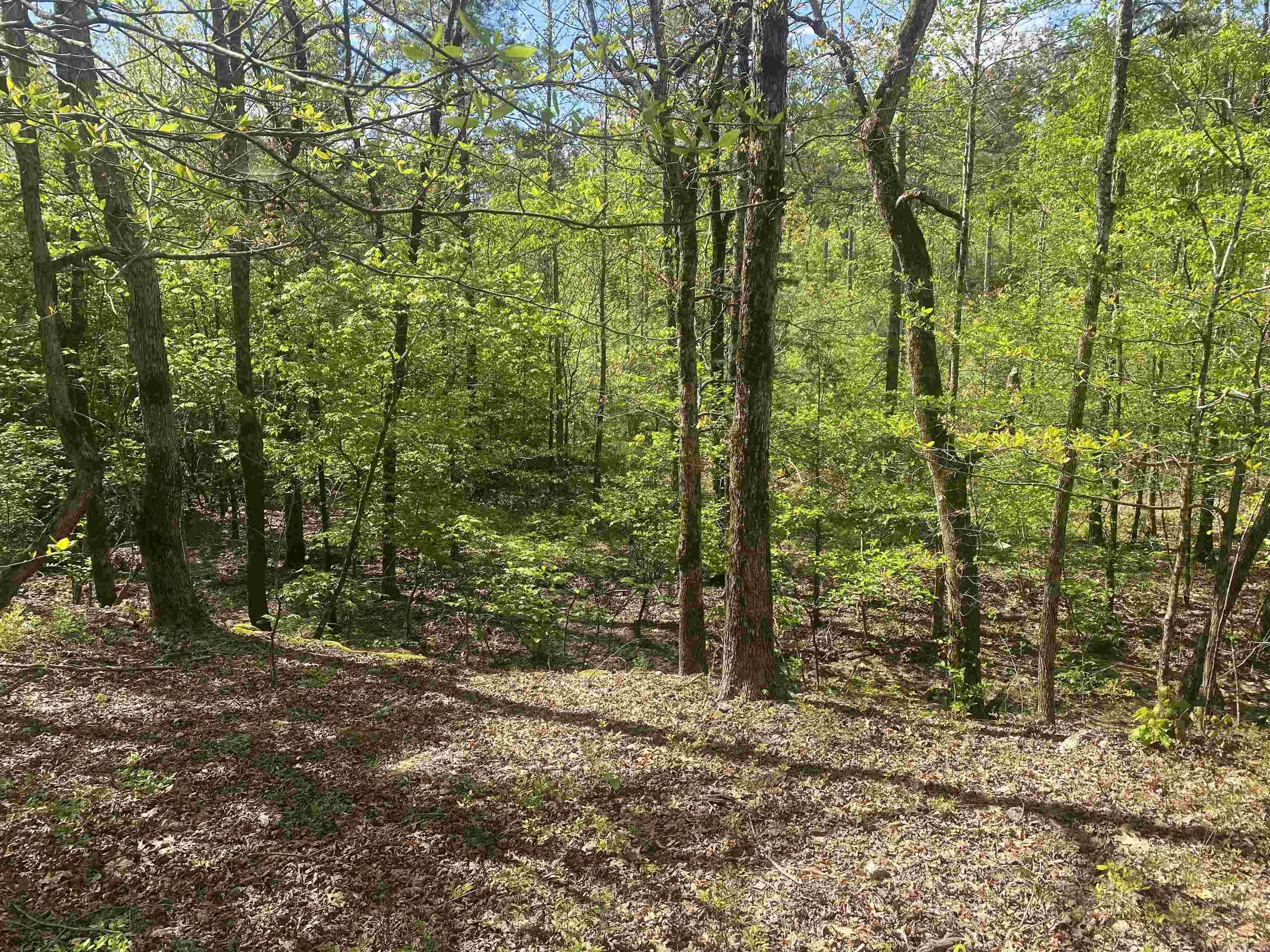 Hwy 240 Property Photo 16
