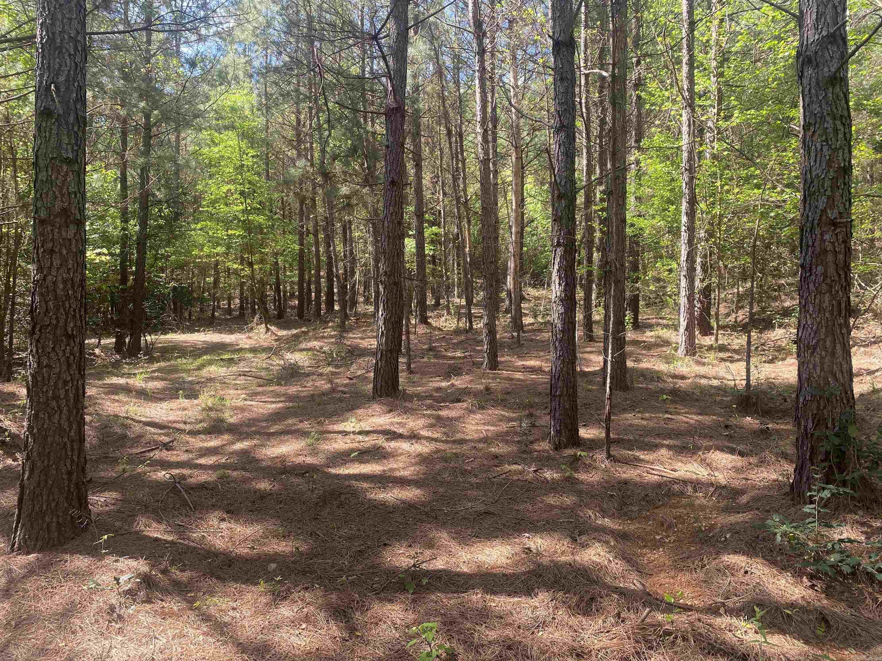 Hwy 240 Property Photo 17