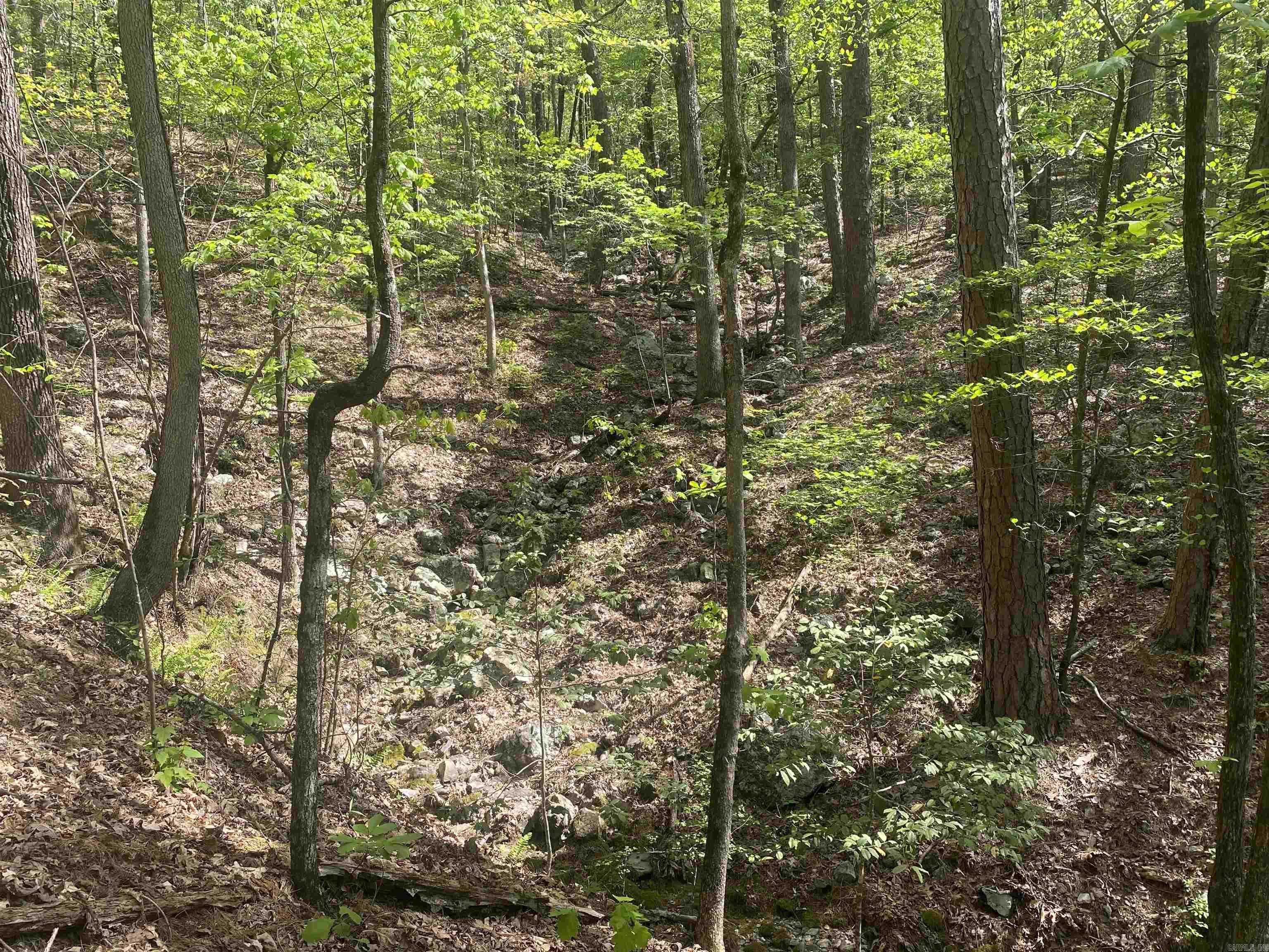 Hwy 240 Property Photo 19