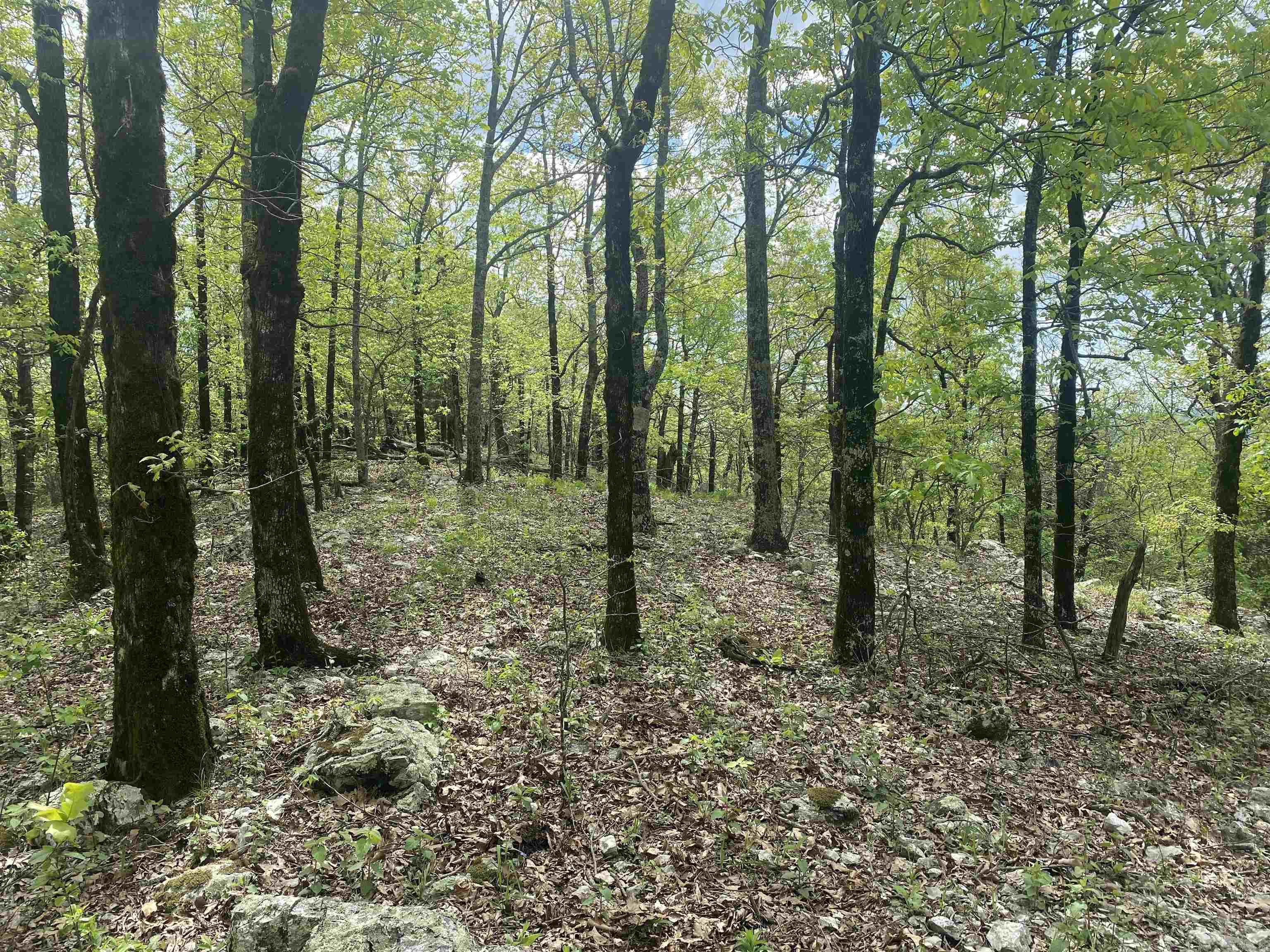 Hwy 240 Property Photo 20