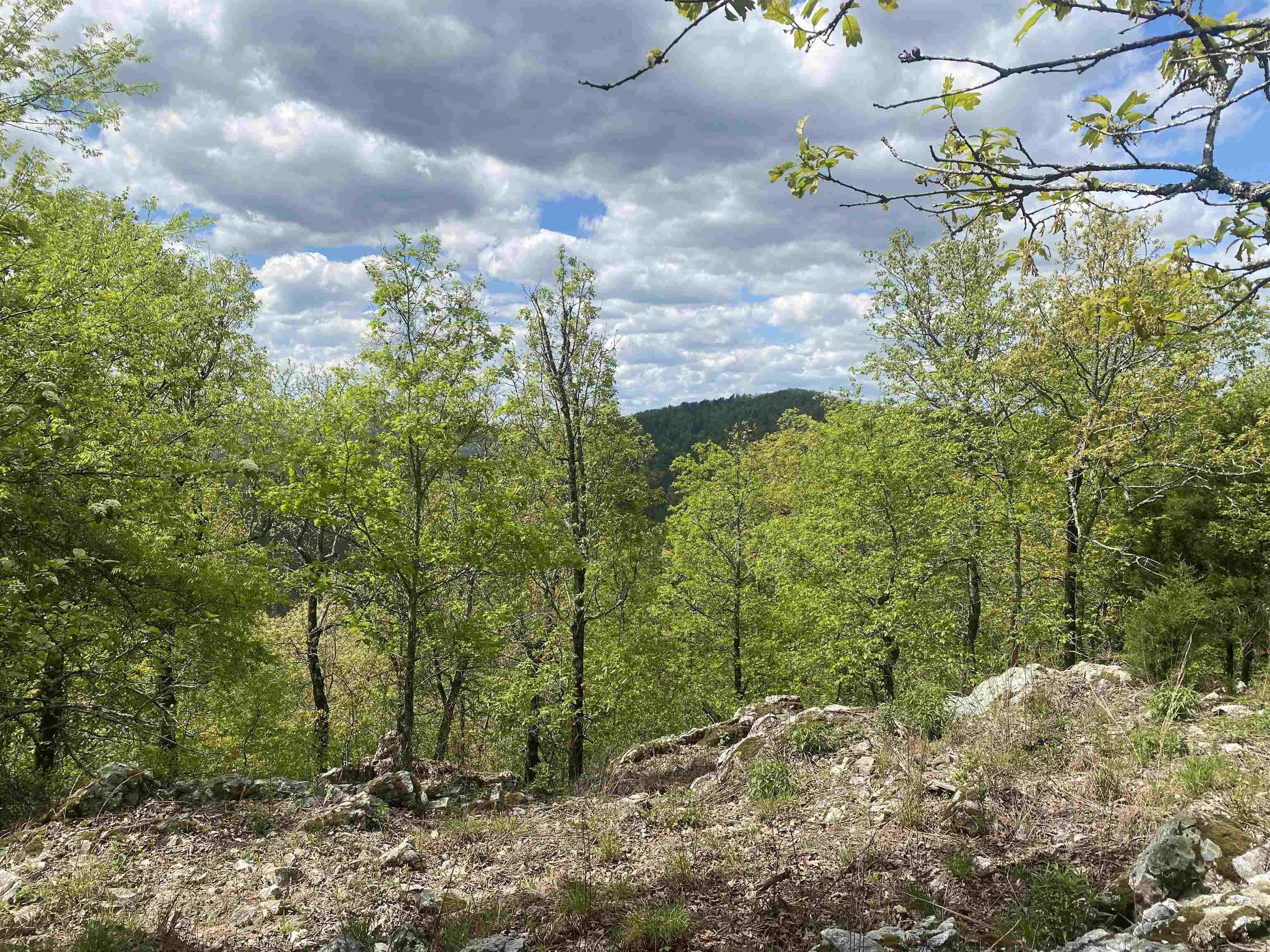 Hwy 240 Property Photo 21