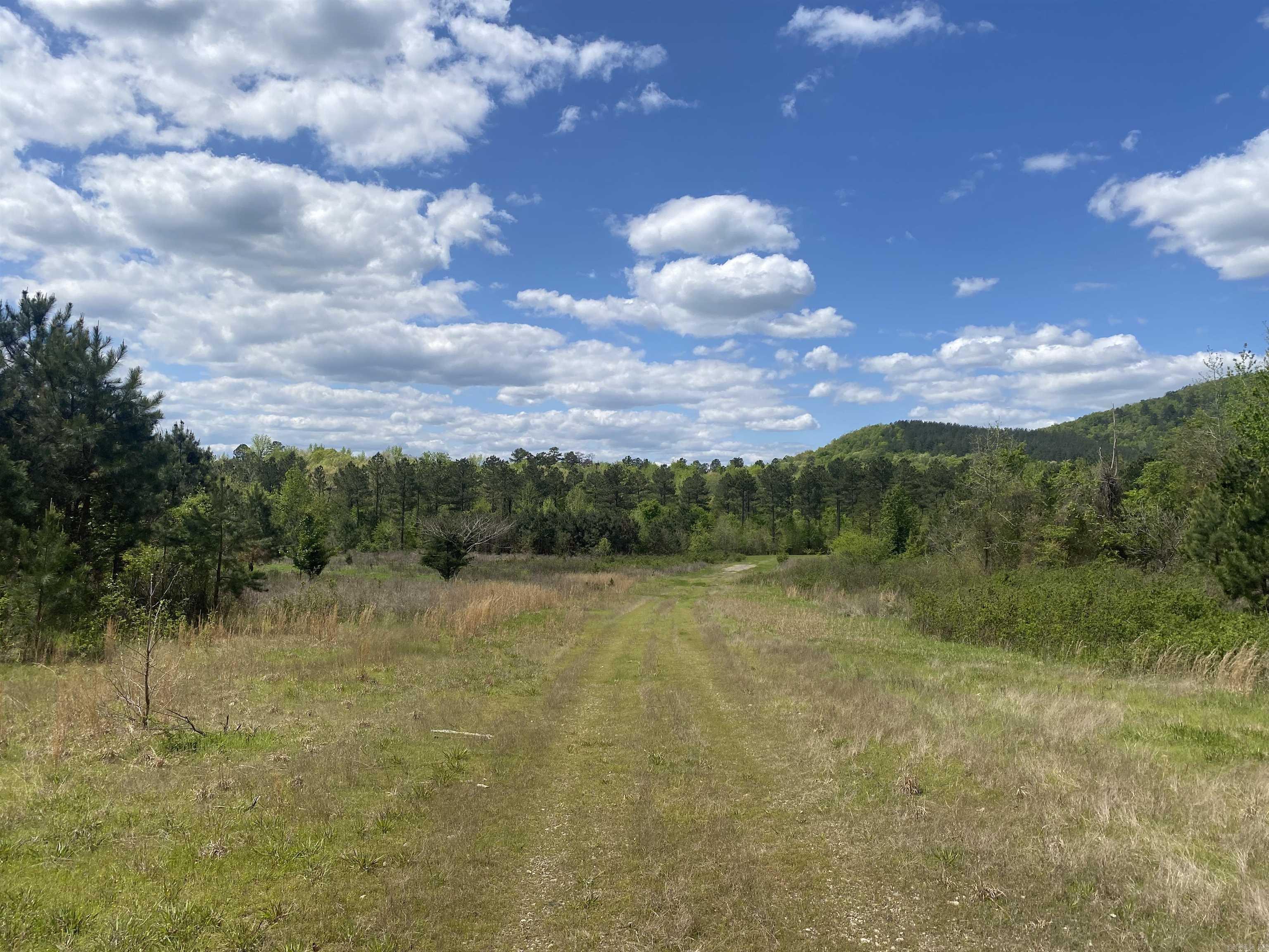 Hwy 240 Property Photo 25