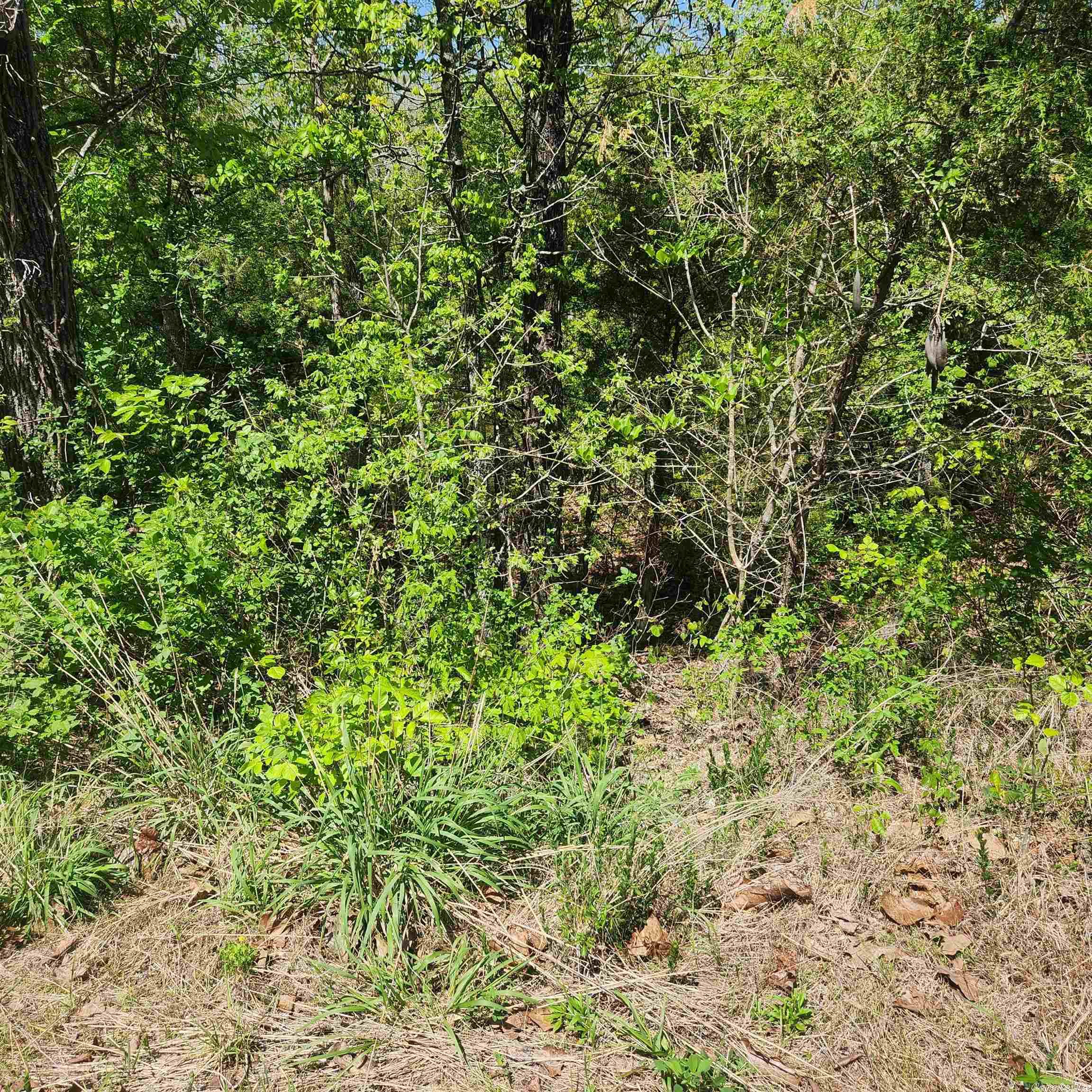L-9 B-2 Minnetree Circle Property Photo 2