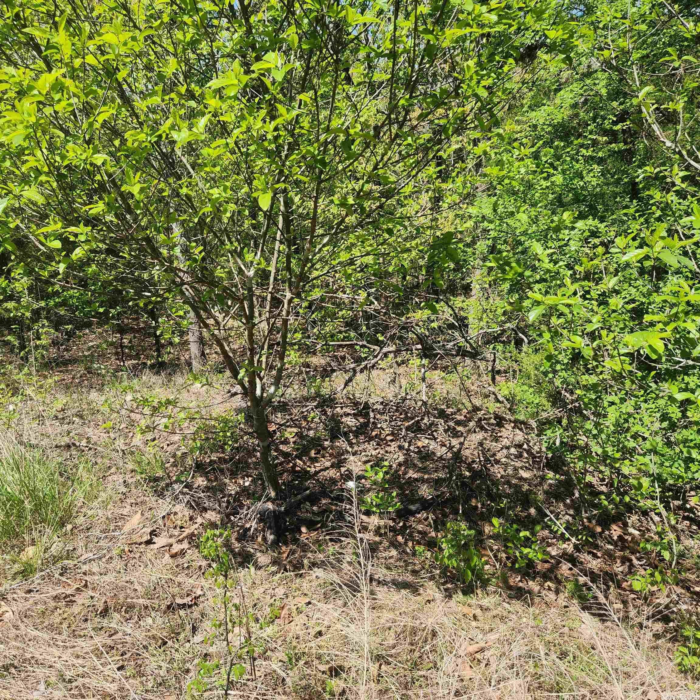 L-9 B-2 Minnetree Circle Property Photo 4