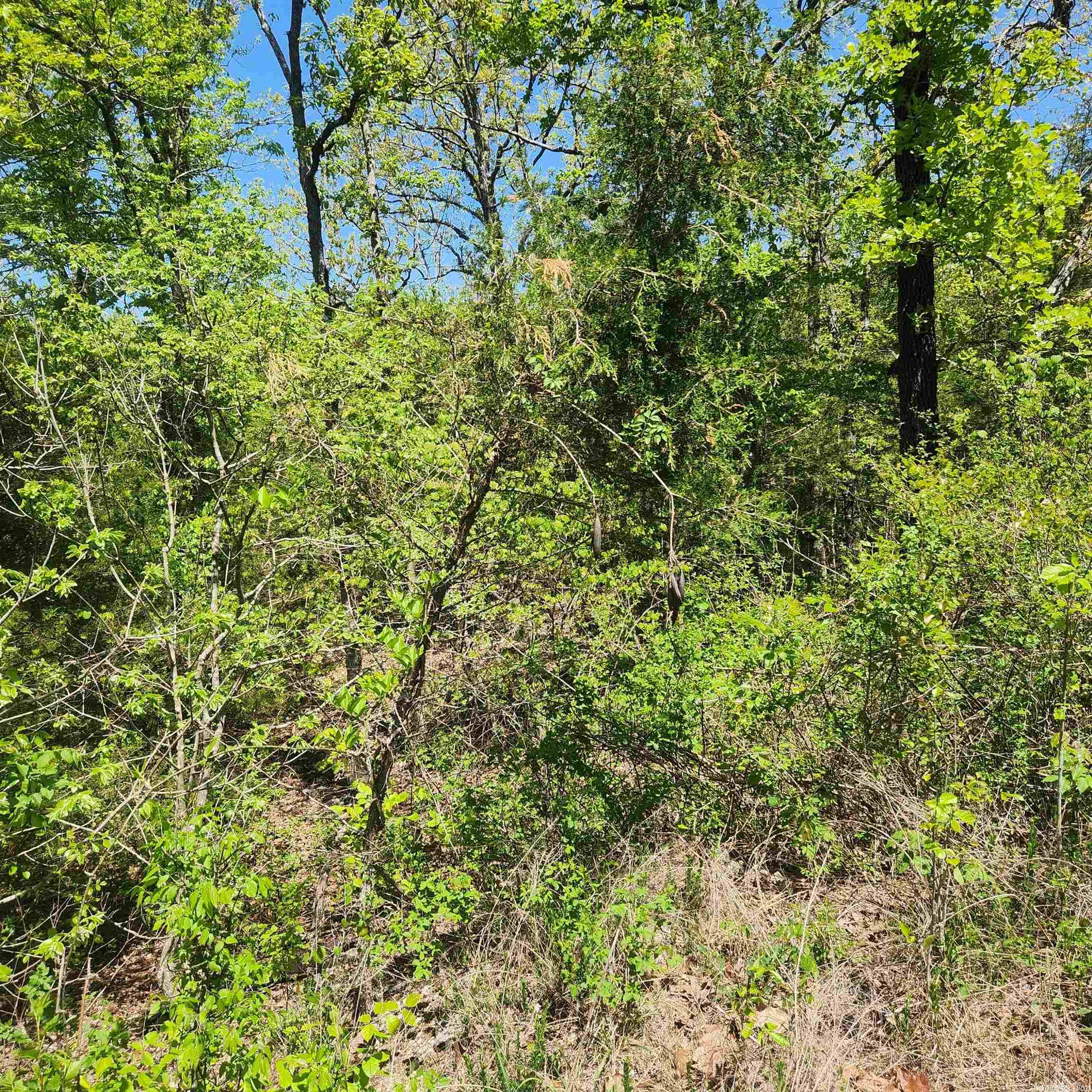 L-9 B-2 Minnetree Circle Property Photo 5