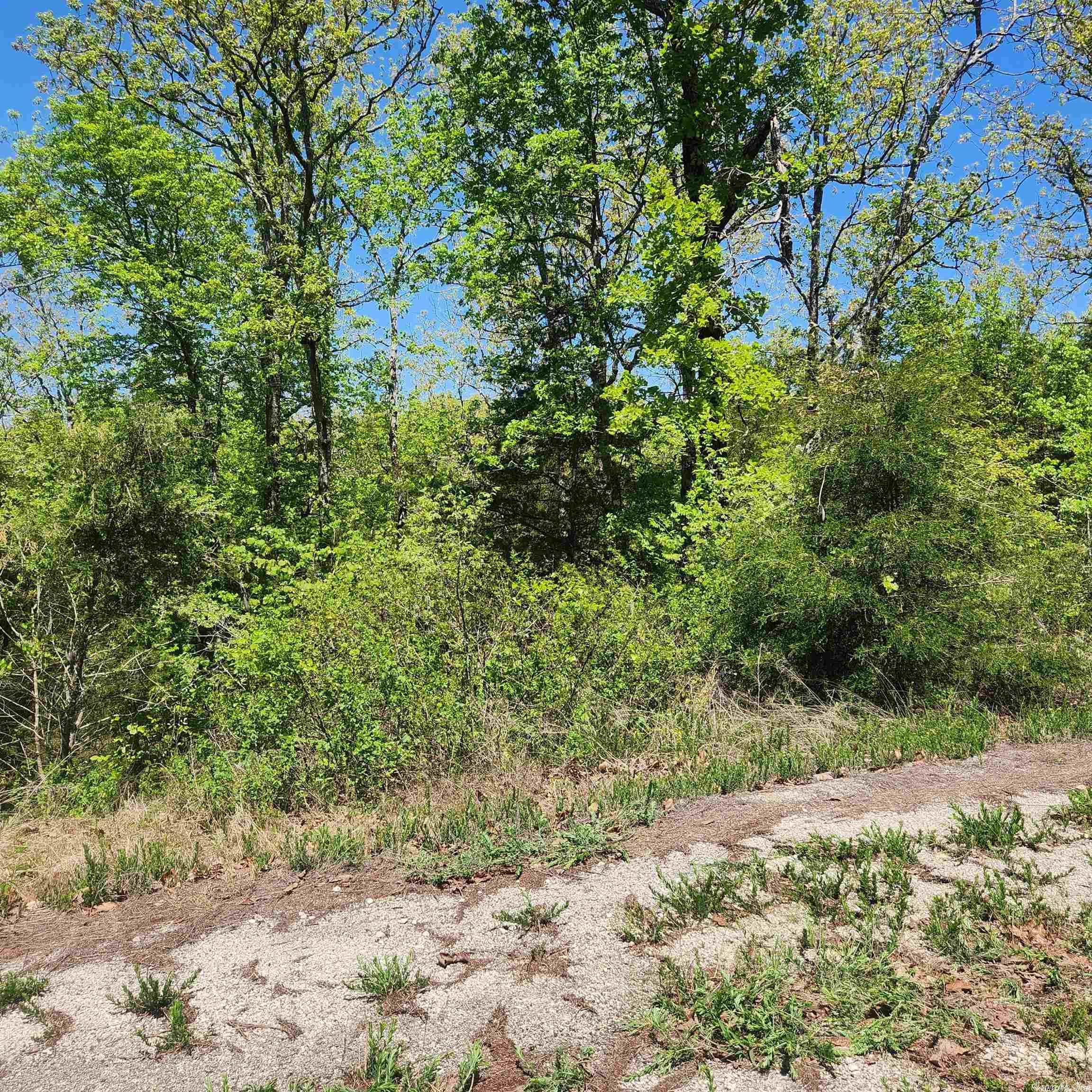 L-9 B-2 Minnetree Circle Property Photo 6