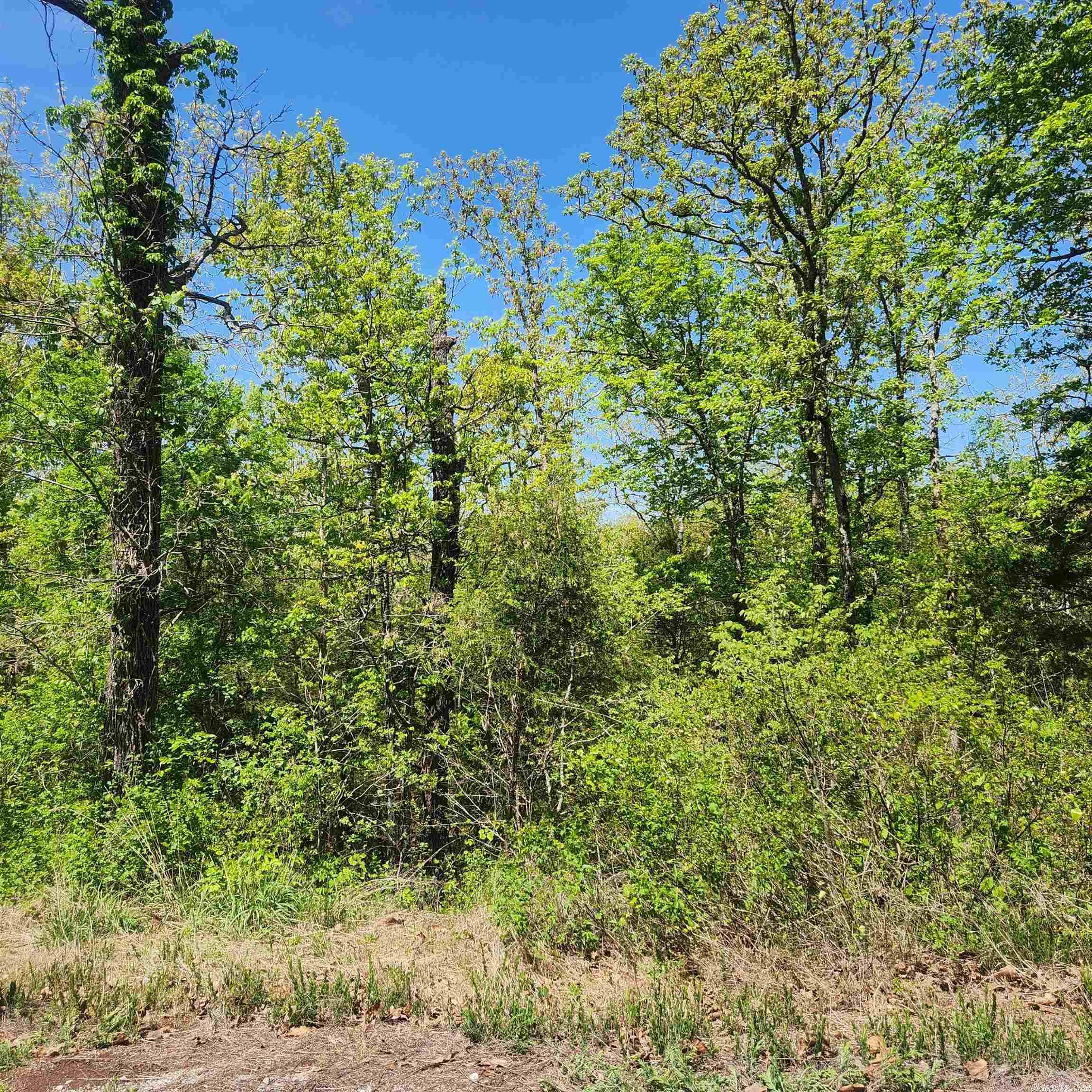 L-9 B-2 Minnetree Circle Property Photo 7