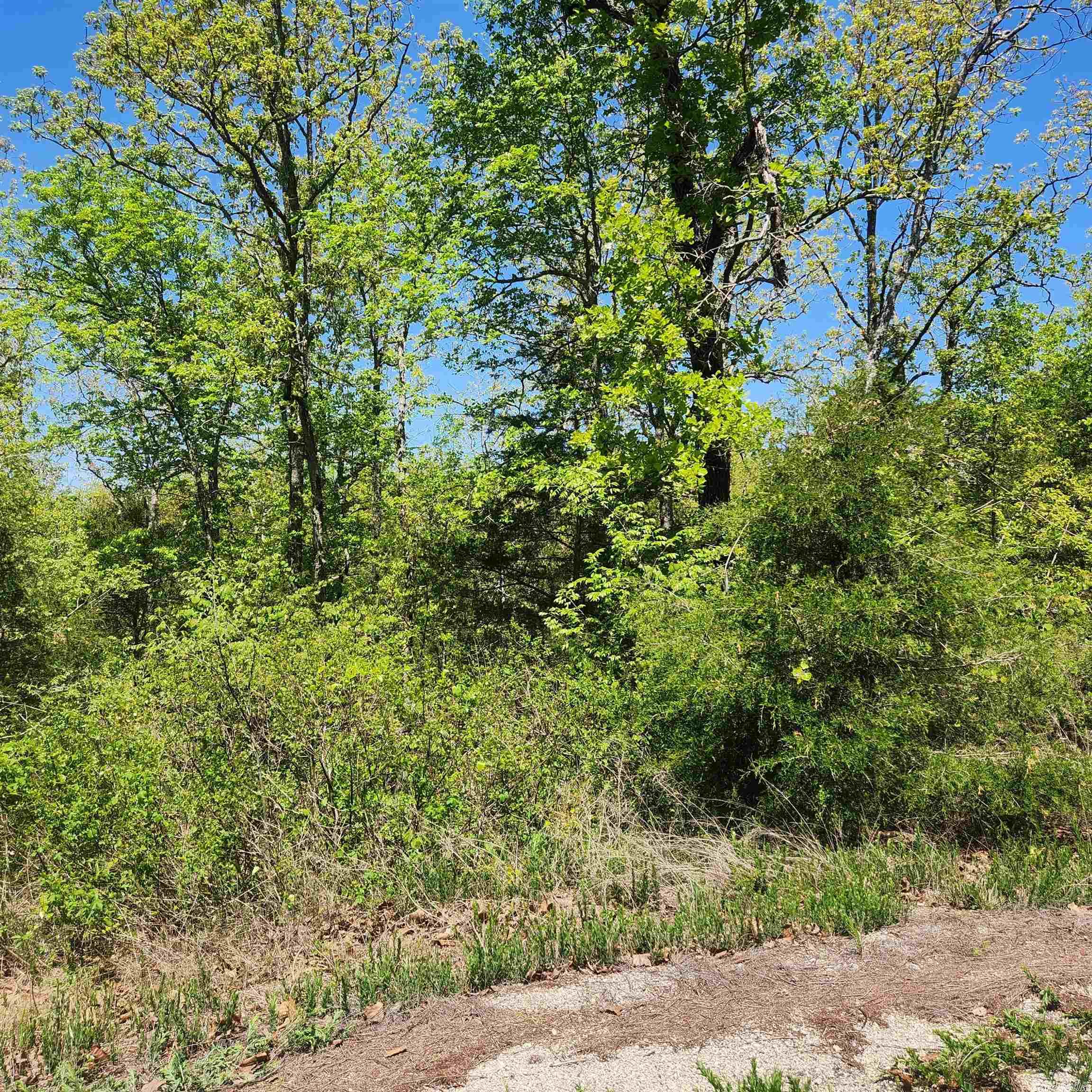 L-9 B-2 Minnetree Circle Property Photo 8