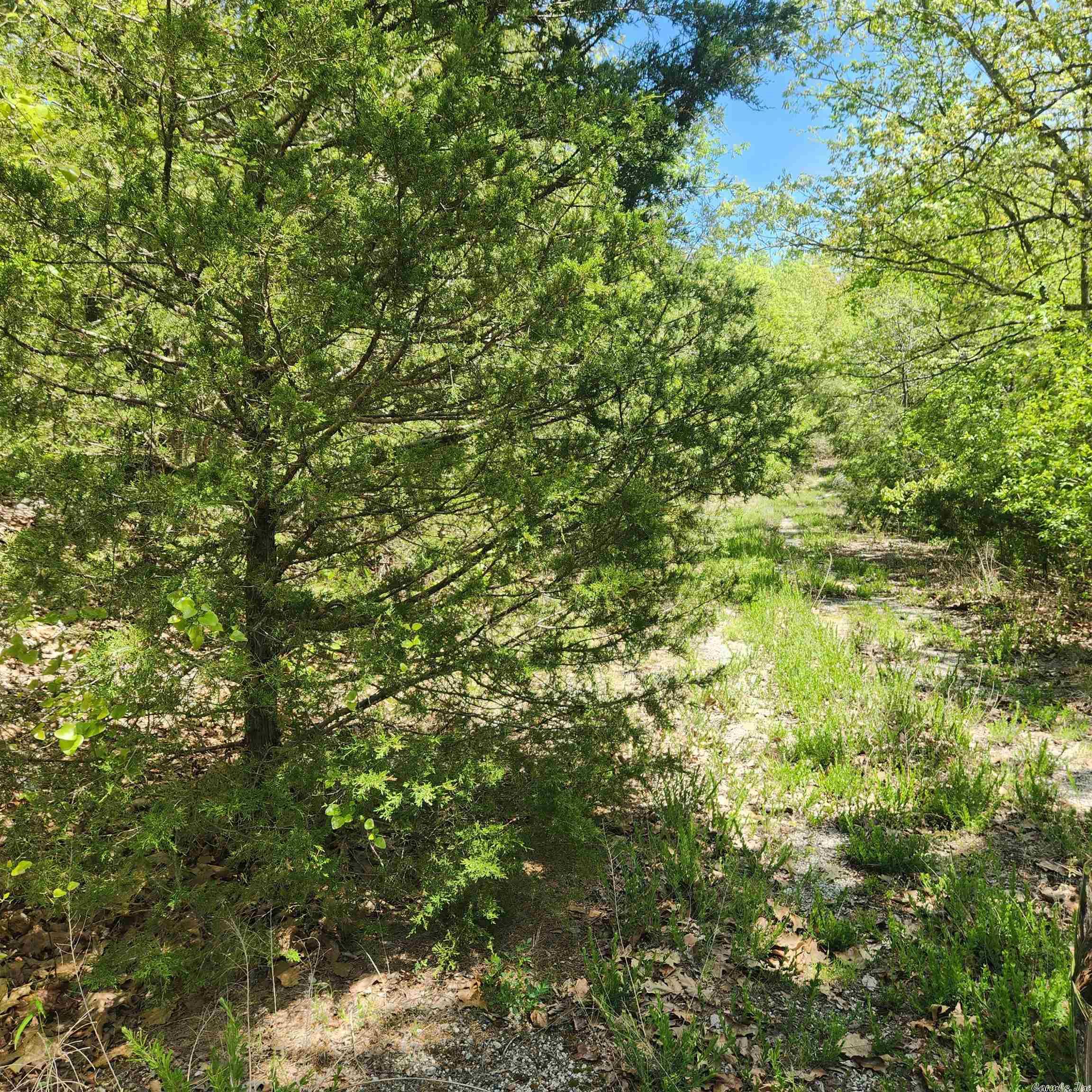 L-61 B-1 Kayenta Circle Property Photo 1