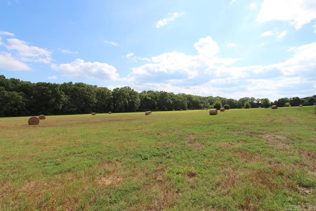 278 Hwy 64 E Property Photo 6