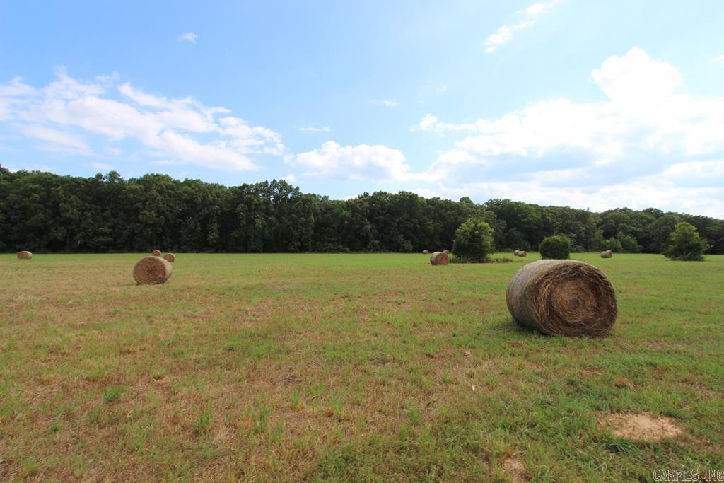 278 Hwy 64 E Property Photo 8