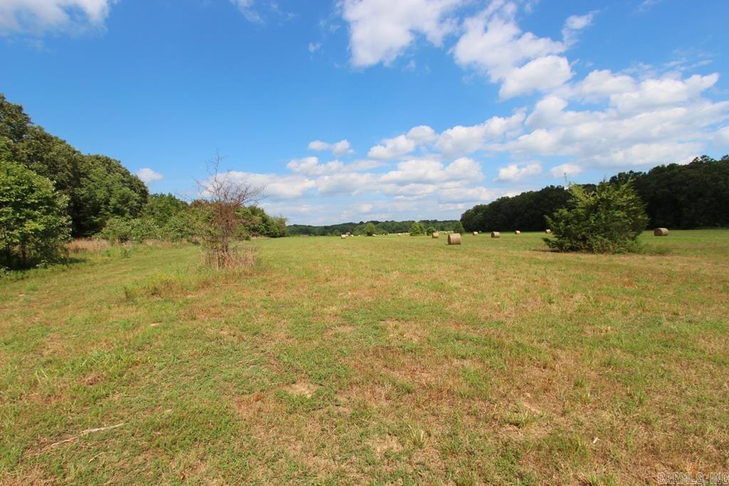 278 Hwy 64 E Property Photo 10