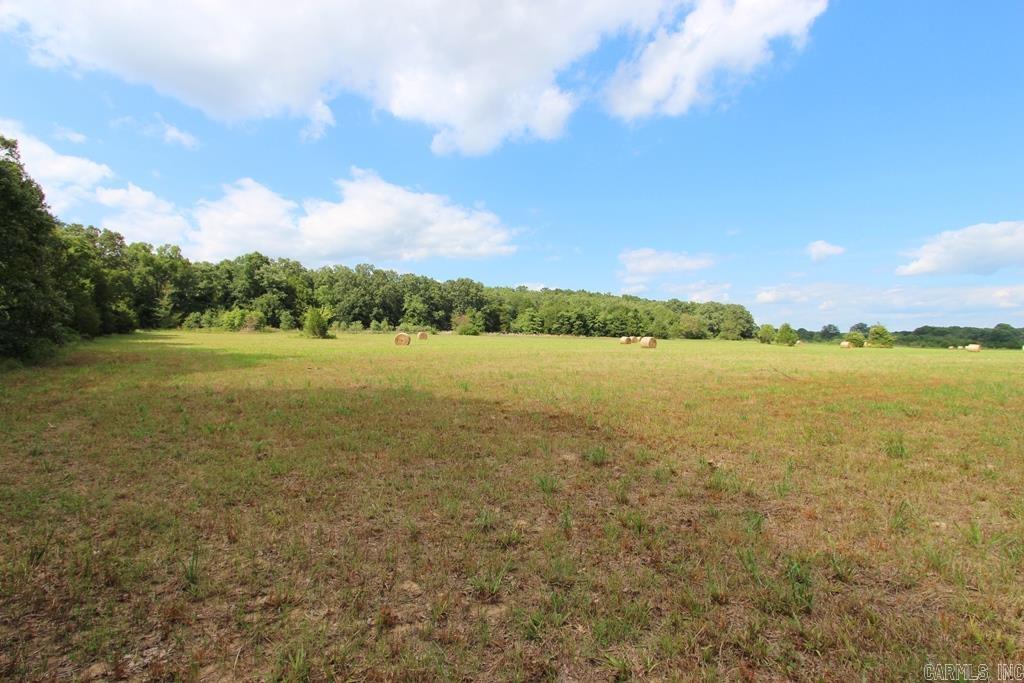 278 Hwy 64 E Property Photo 11