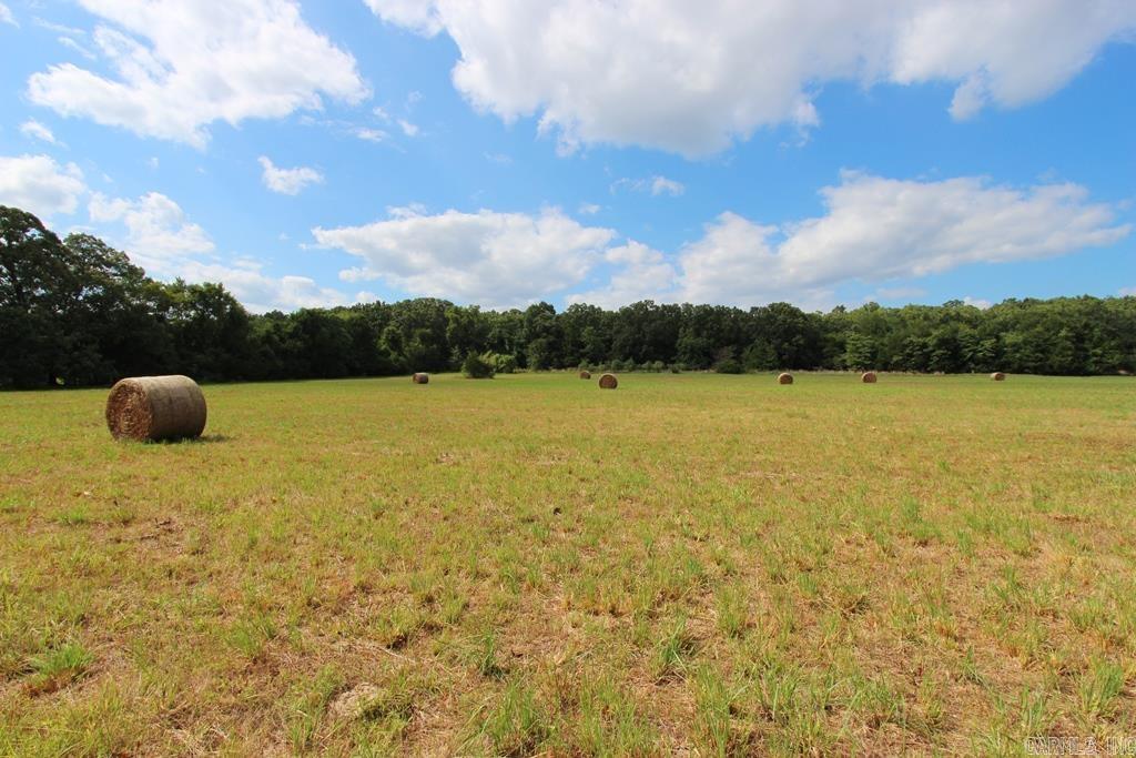 278 Hwy 64 E Property Photo 12