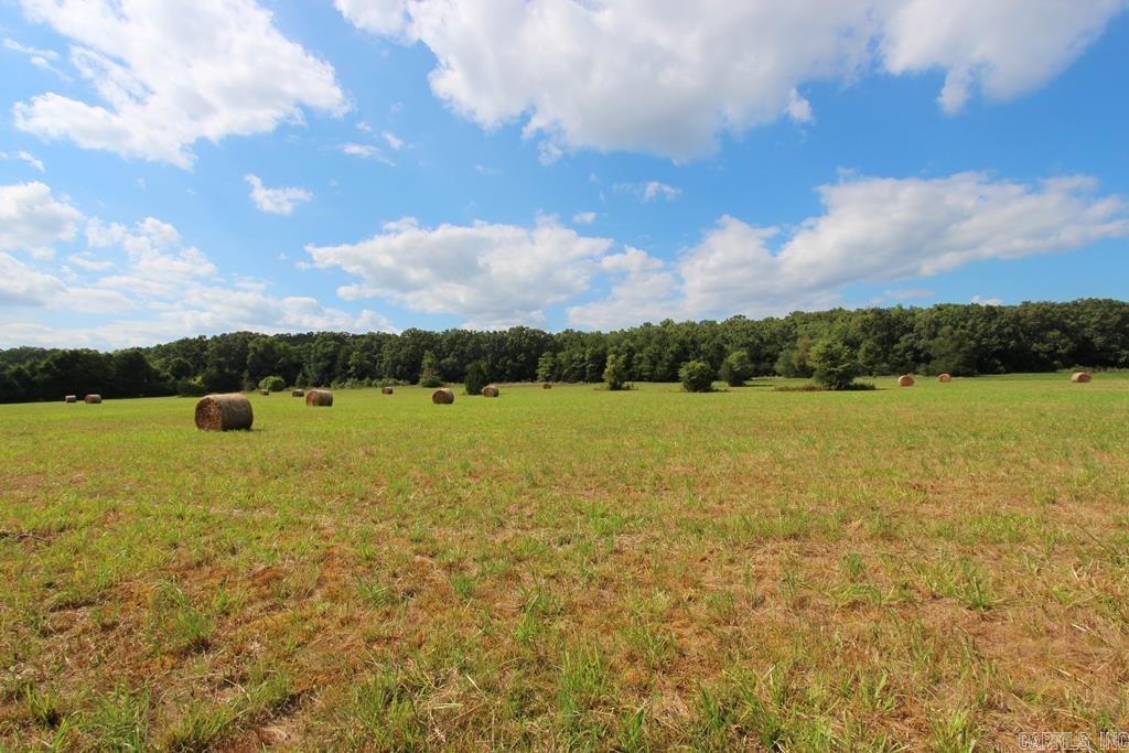 278 Hwy 64 E Property Photo 14