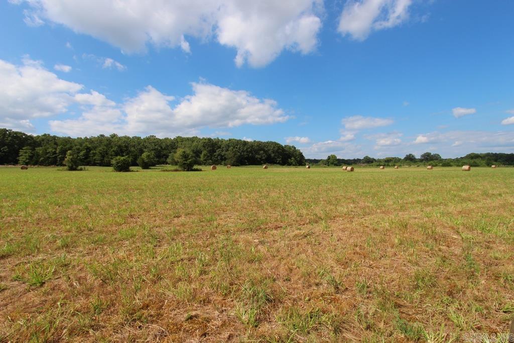 278 Hwy 64 E Property Photo 15