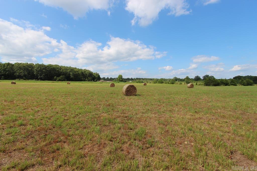 278 Hwy 64 E Property Photo 16