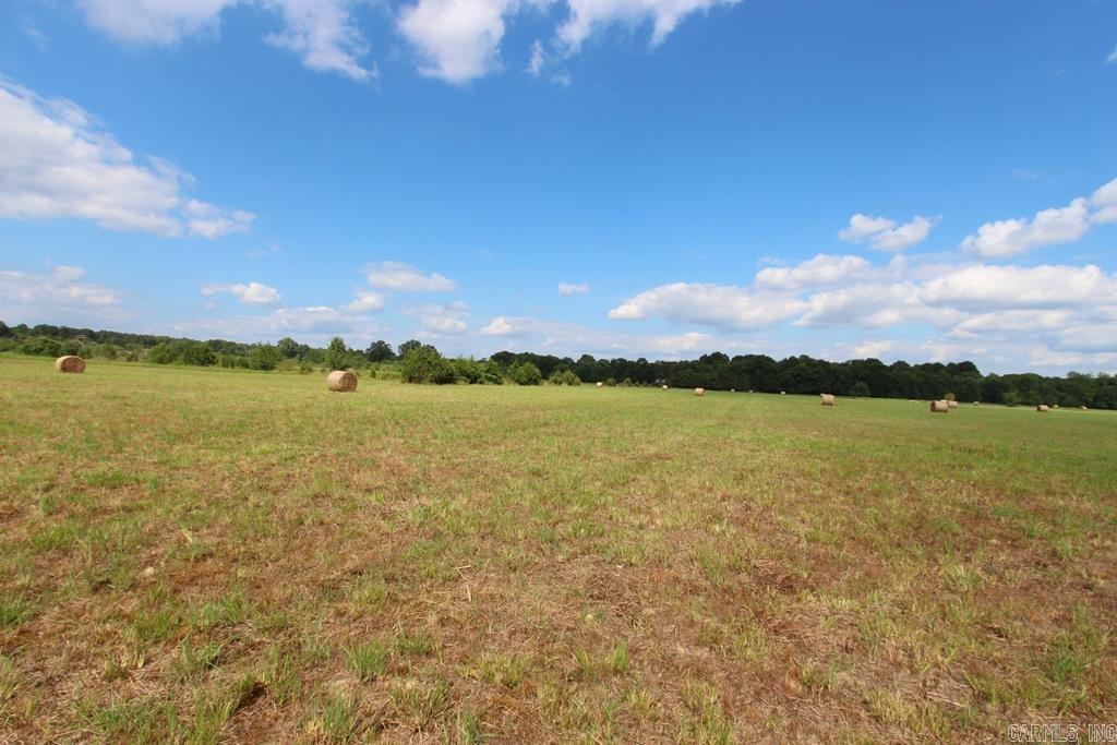 278 Hwy 64 E Property Photo 17