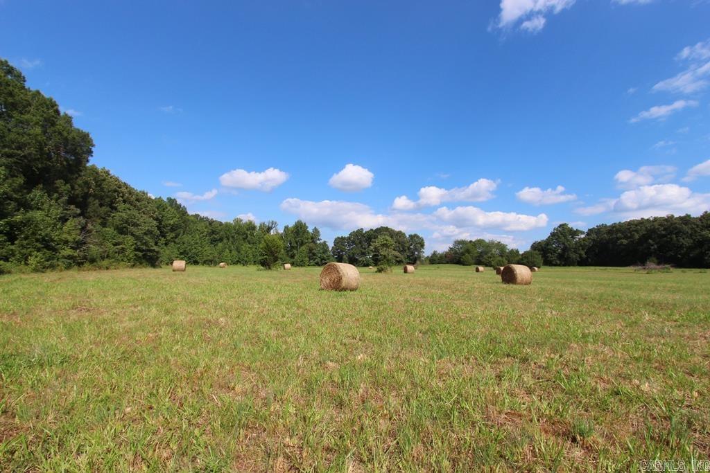 278 Hwy 64 E Property Photo 18