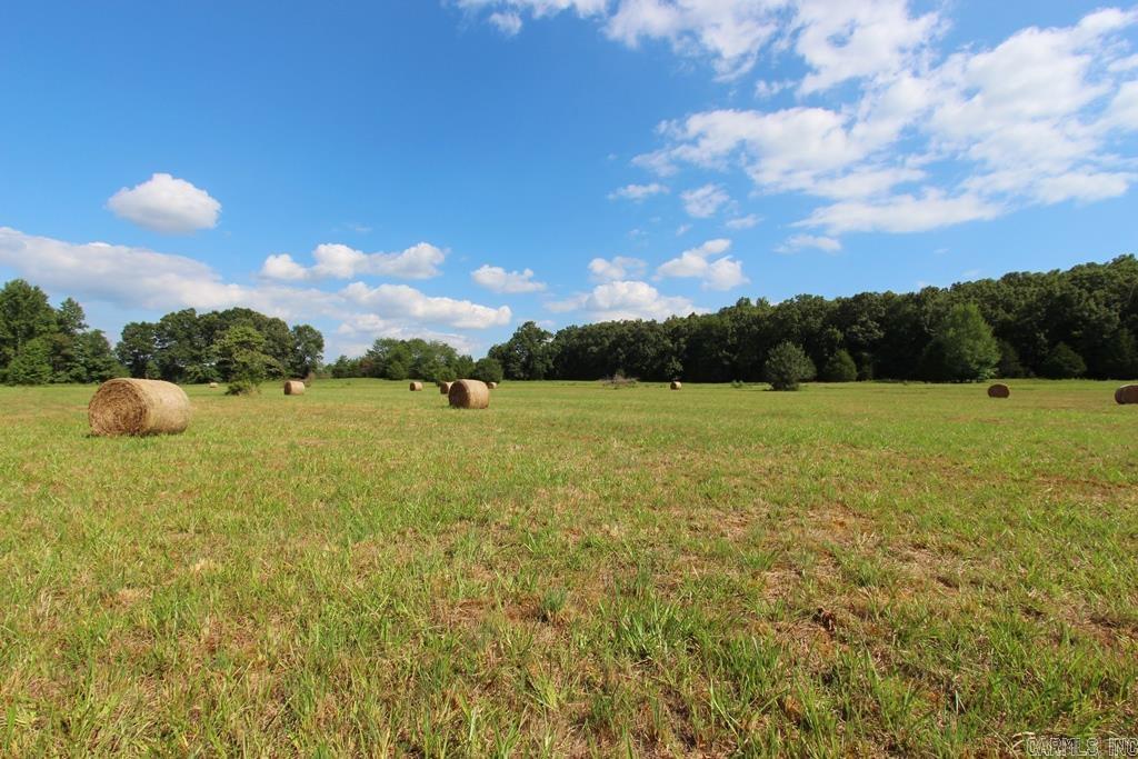 278 Hwy 64 E Property Photo 19