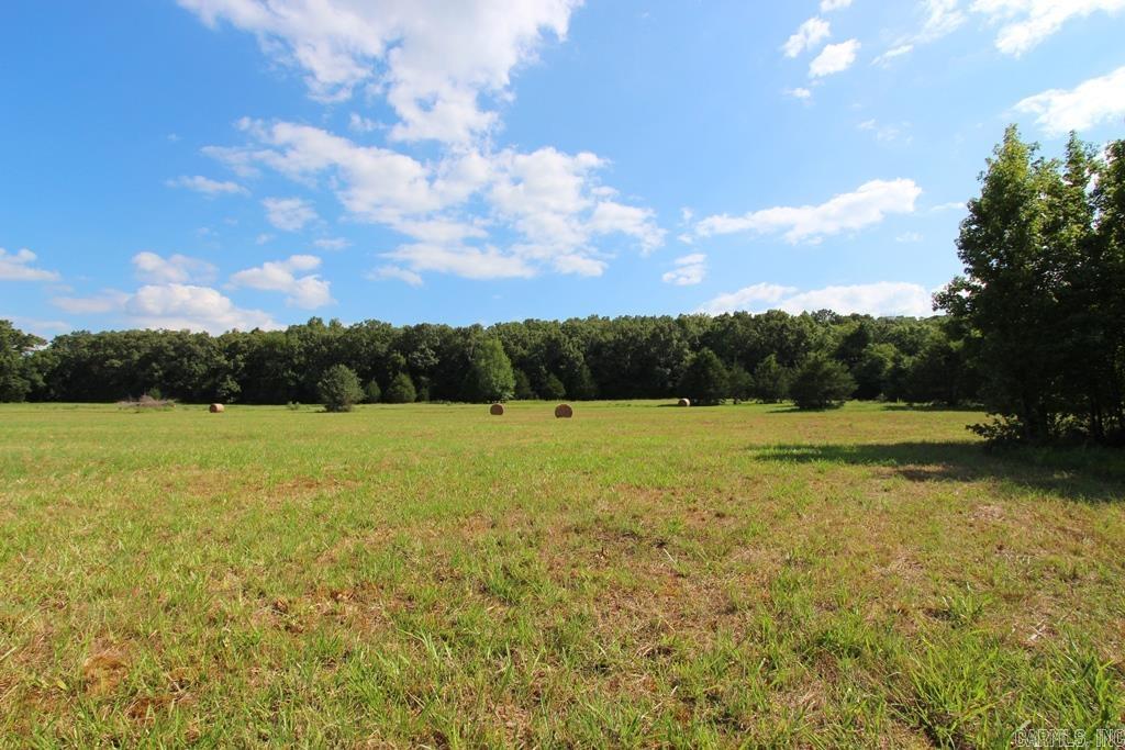 278 Hwy 64 E Property Photo 20