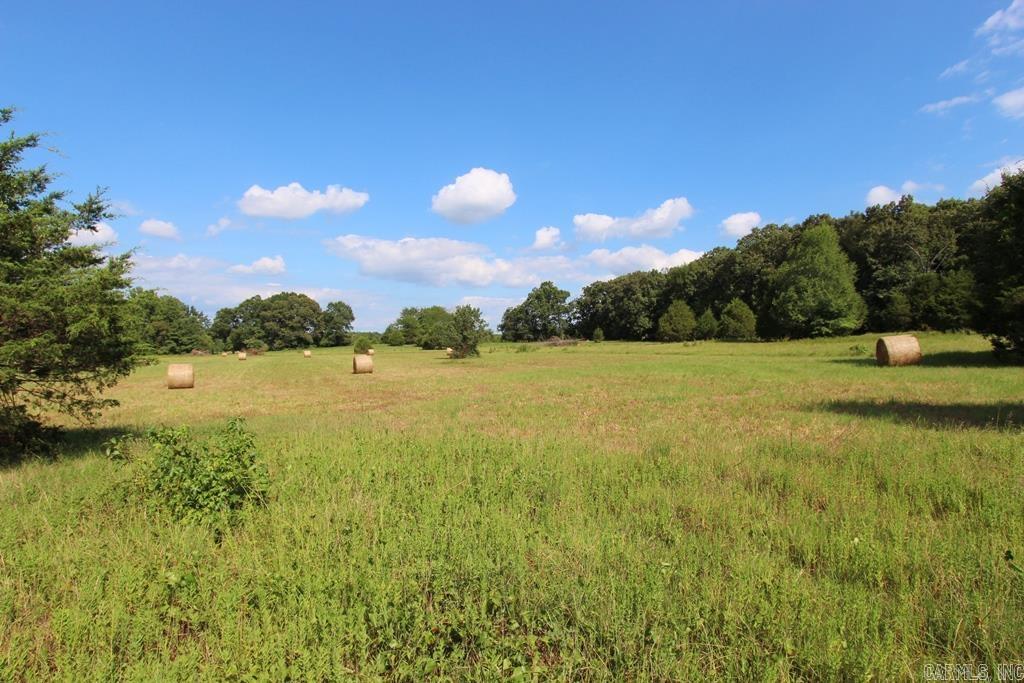 278 Hwy 64 E Property Photo 21