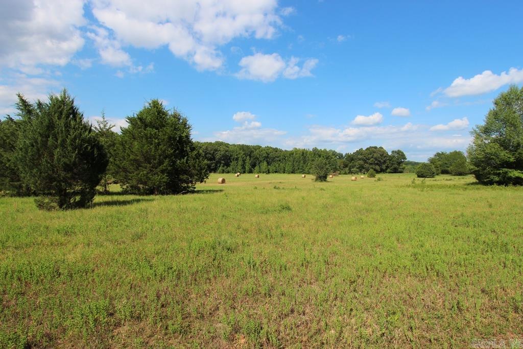 278 Hwy 64 E Property Photo 22