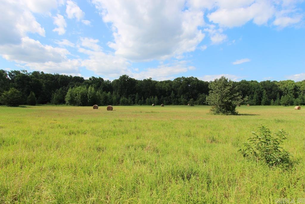 278 Hwy 64 E Property Photo 23