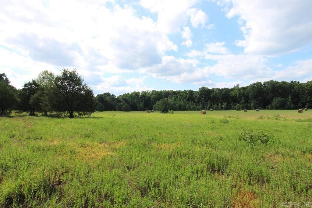 278 Hwy 64 E Property Photo 24