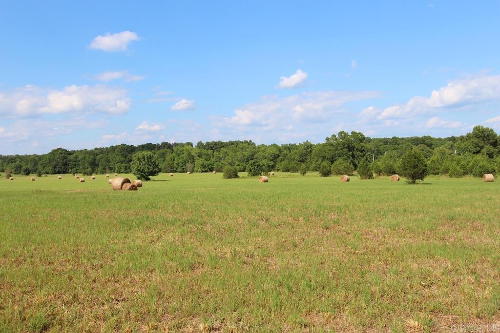 278 Hwy 64 E Property Photo 28