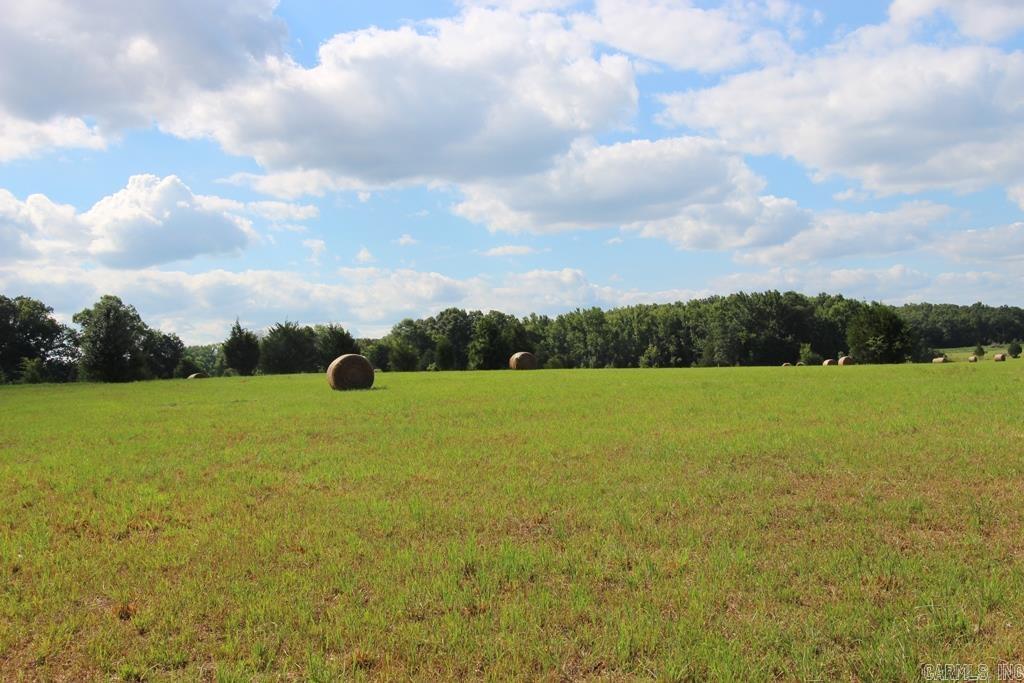 278 Hwy 64 E Property Photo 29