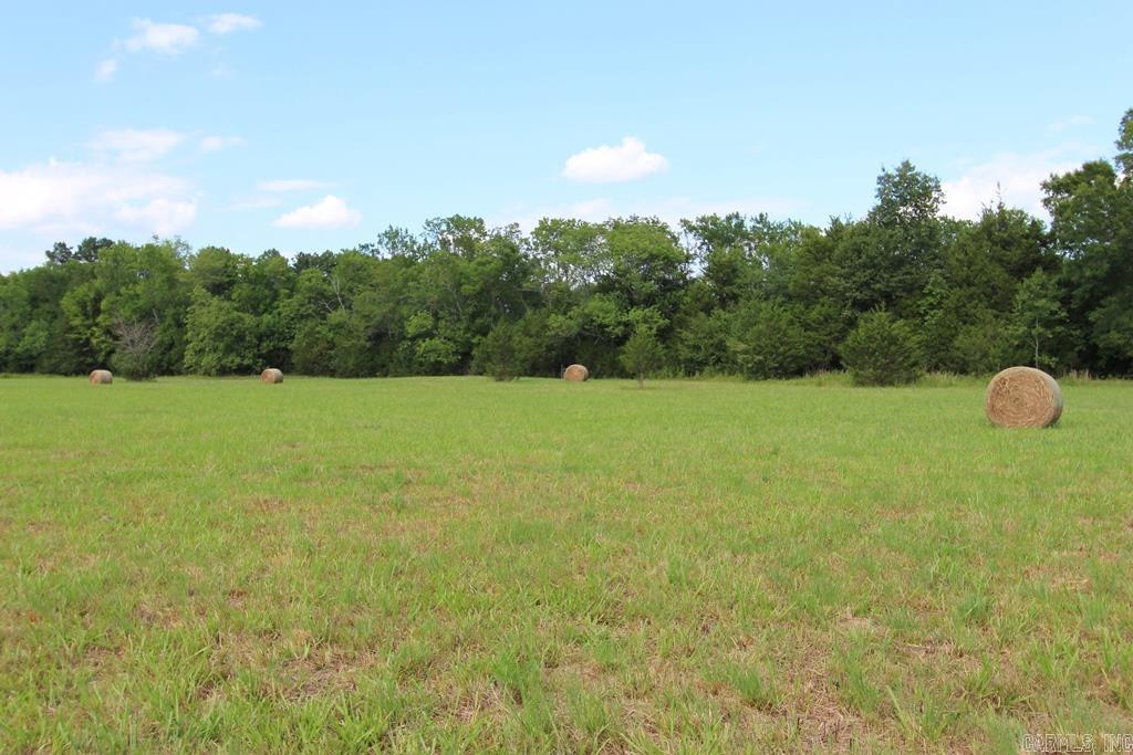 278 Hwy 64 E Property Photo 33