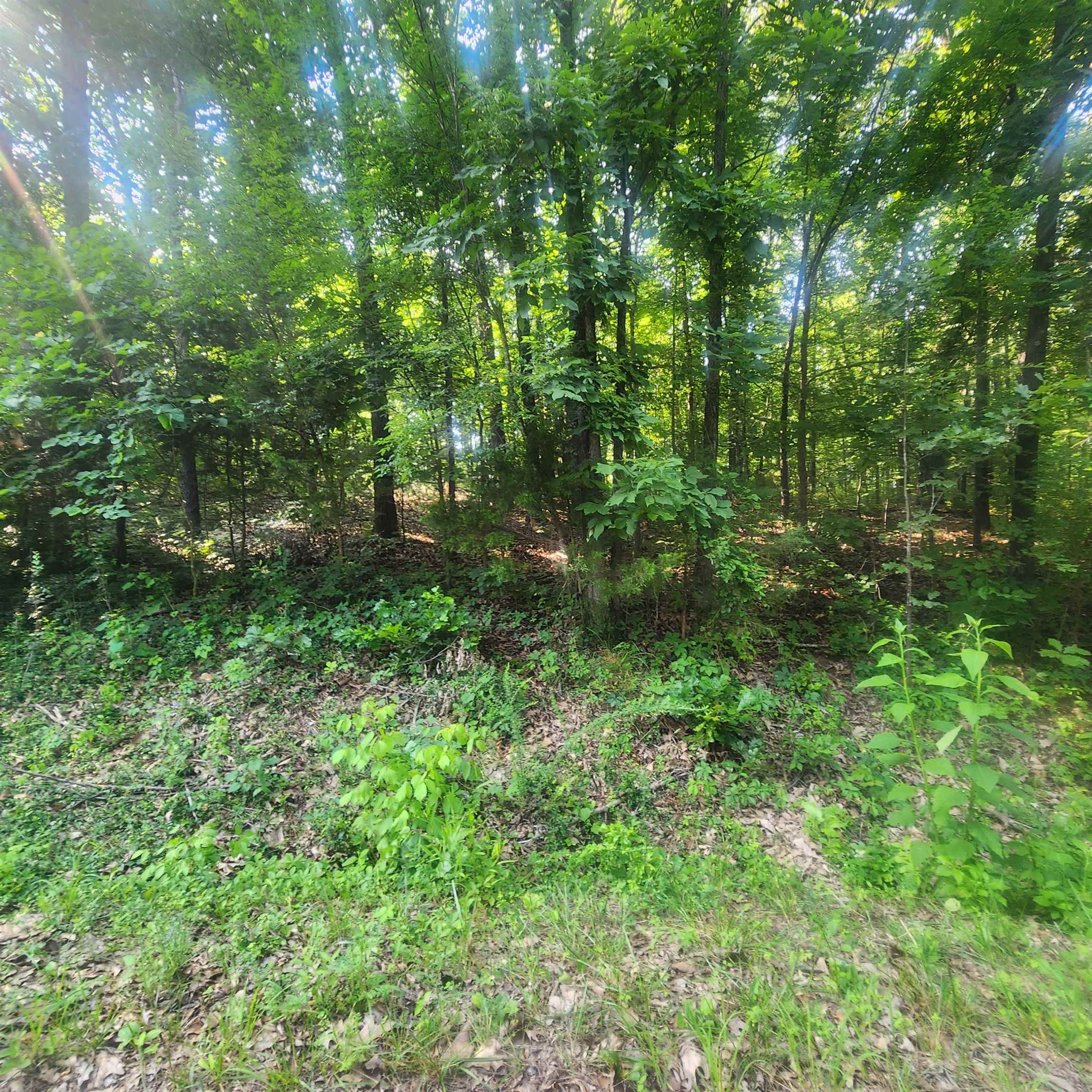 L-25 B-7 Navajo Trace Property Photo 1