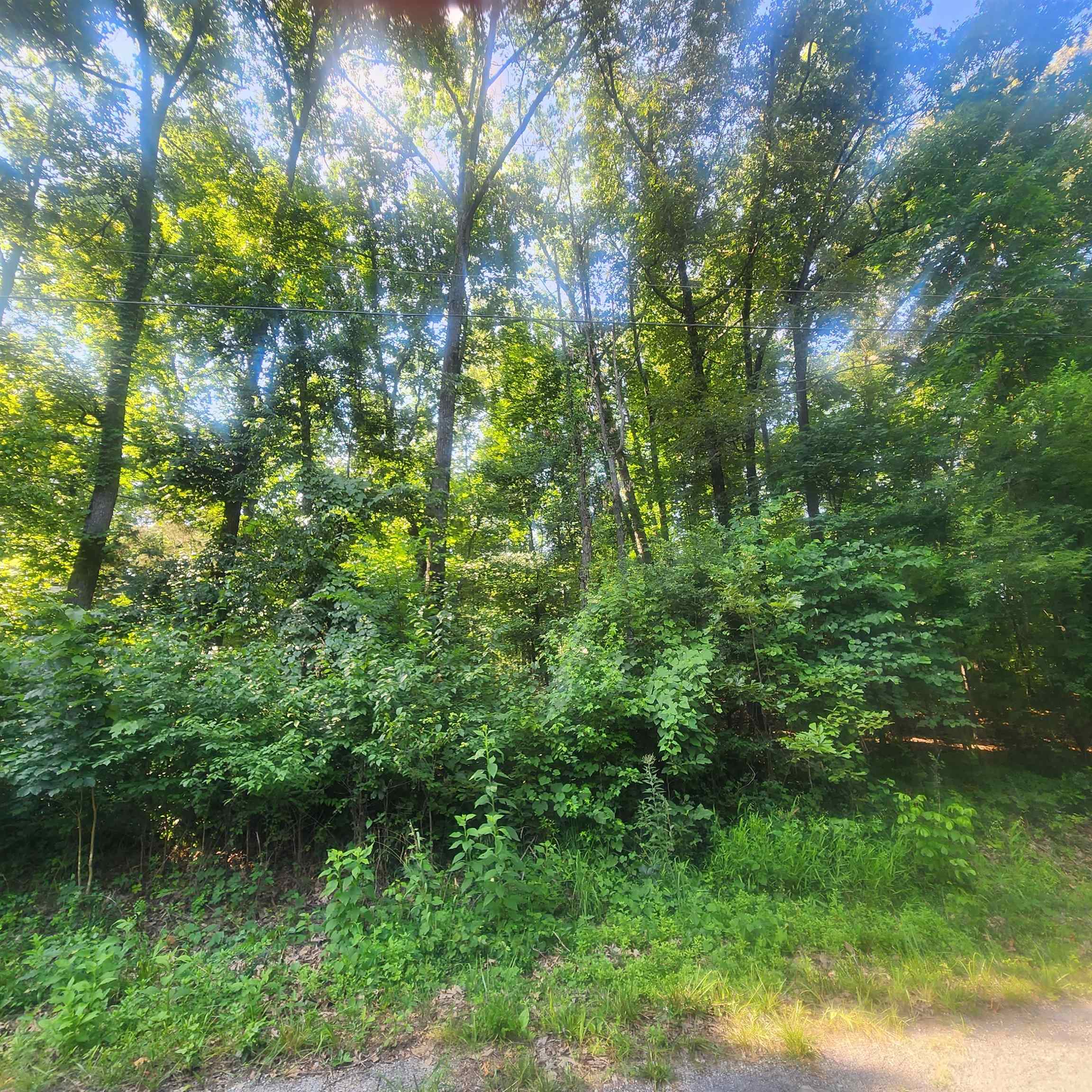 L-25 B-7 Navajo Trace Property Photo 2