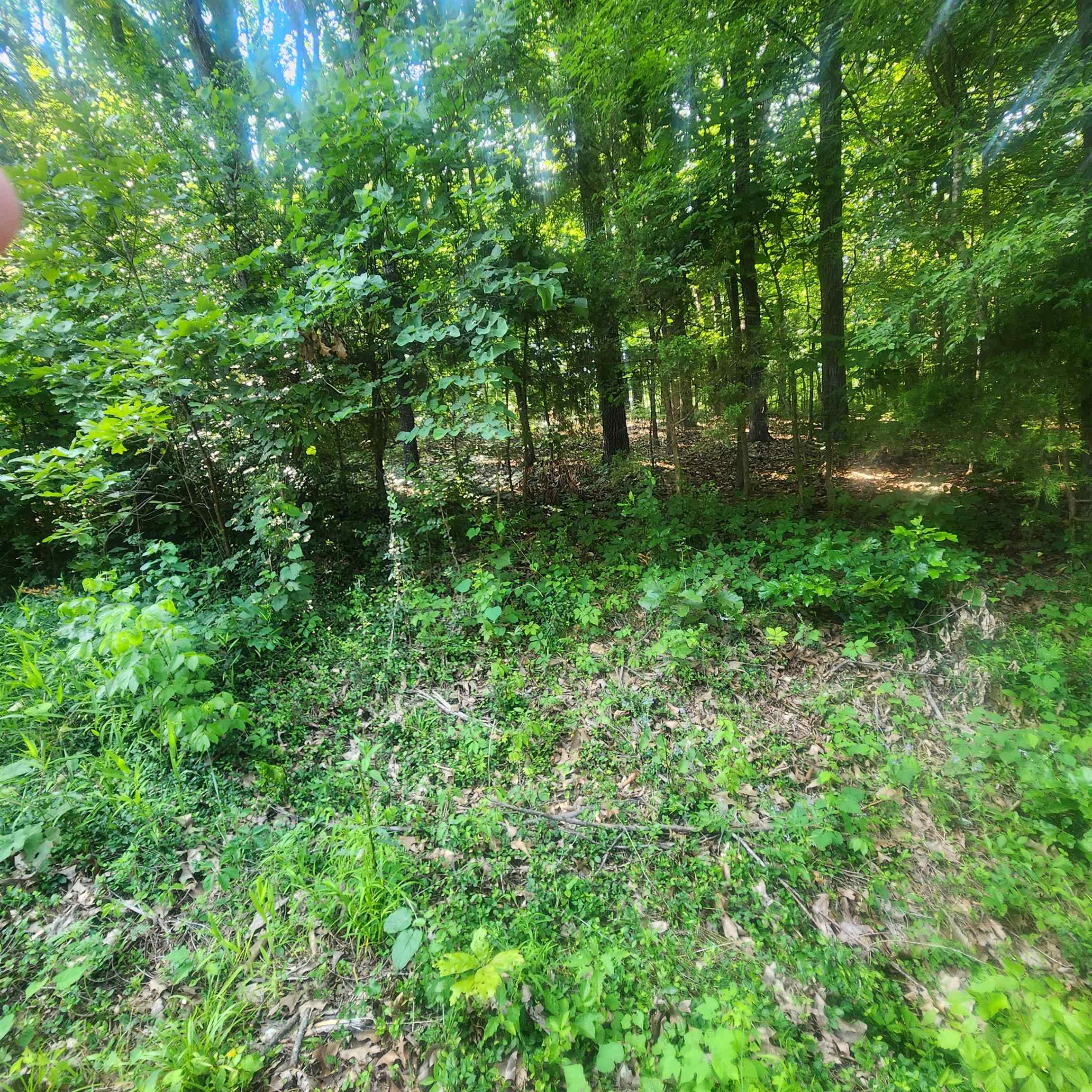 L-25 B-7 Navajo Trace Property Photo 3