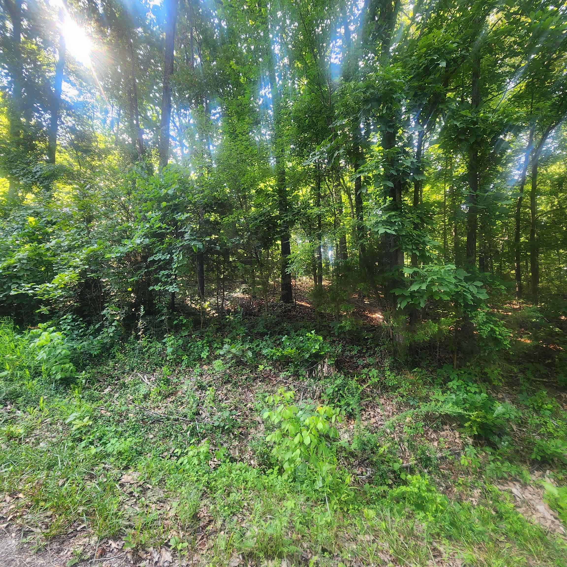 L-25 B-7 Navajo Trace Property Photo 4