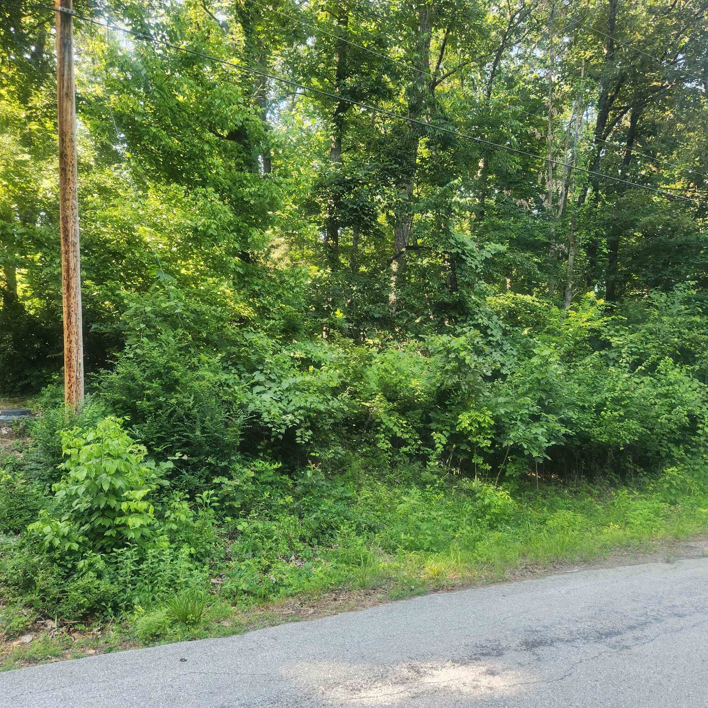 L-25 B-7 Navajo Trace Property Photo 6