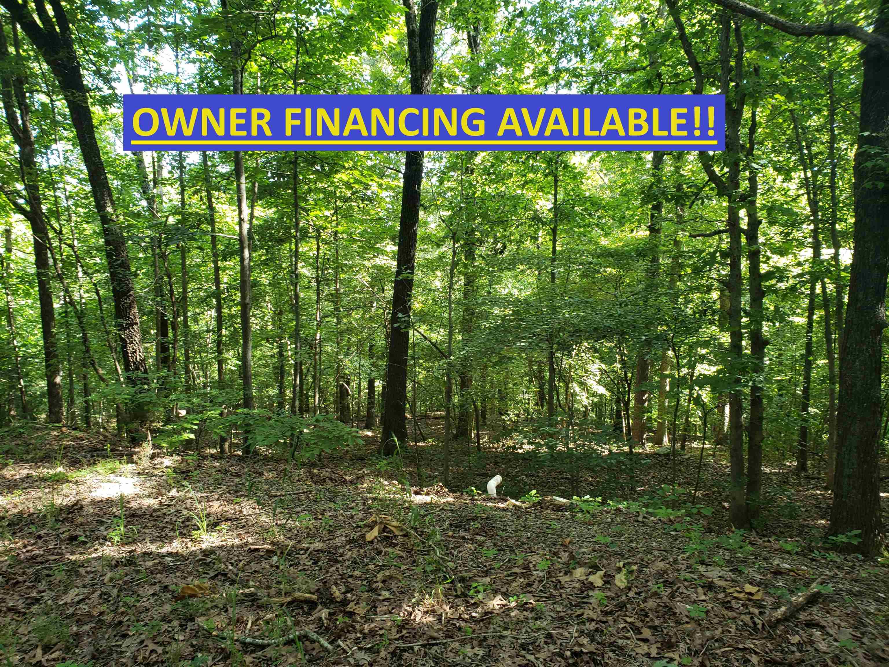 L-8, B-4 Haynie Circle Property Photo 1