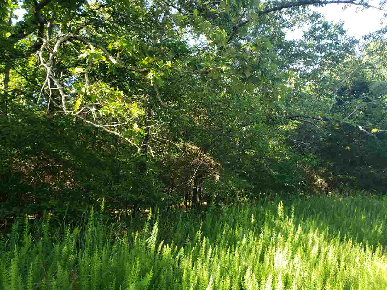 L-8, B-4 Haynie Circle Property Photo 3