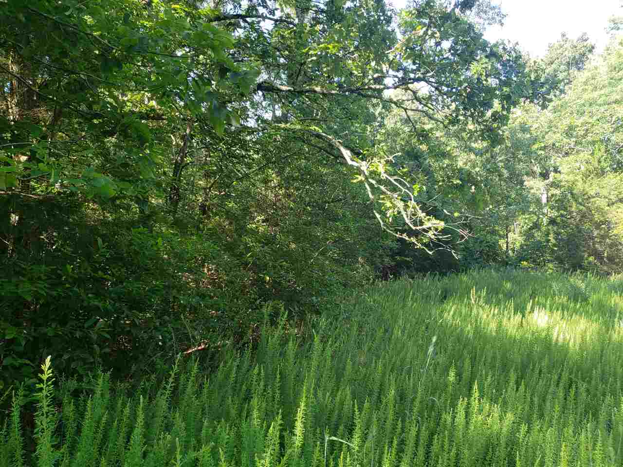 L-8, B-4 Haynie Circle Property Photo 4