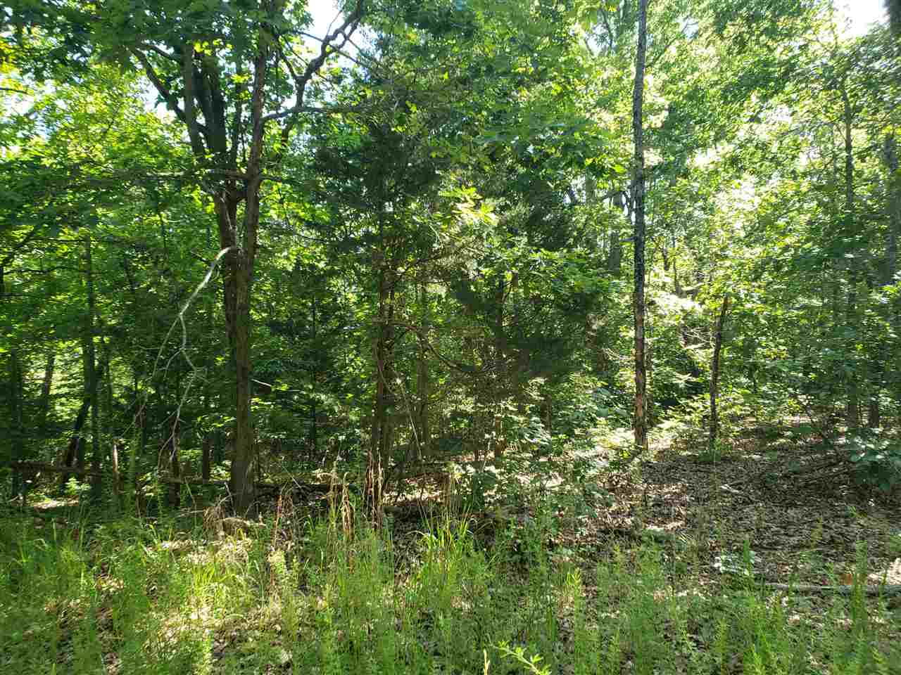 L-8, B-4 Haynie Circle Property Photo 5