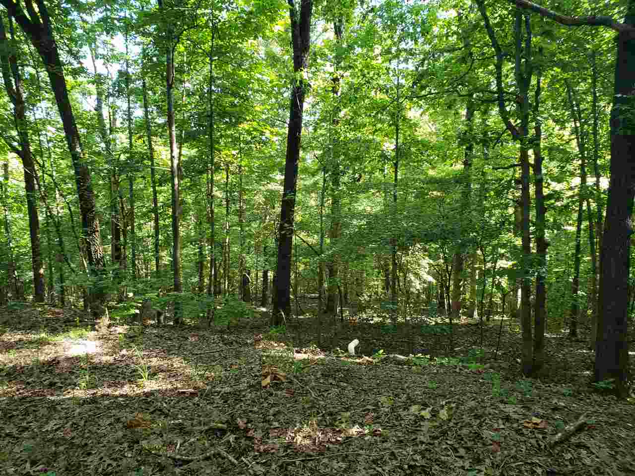 L-8, B-4 Haynie Circle Property Photo 7