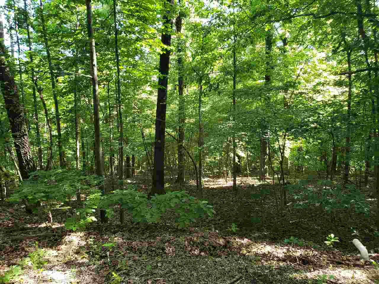 L-8, B-4 Haynie Circle Property Photo 8