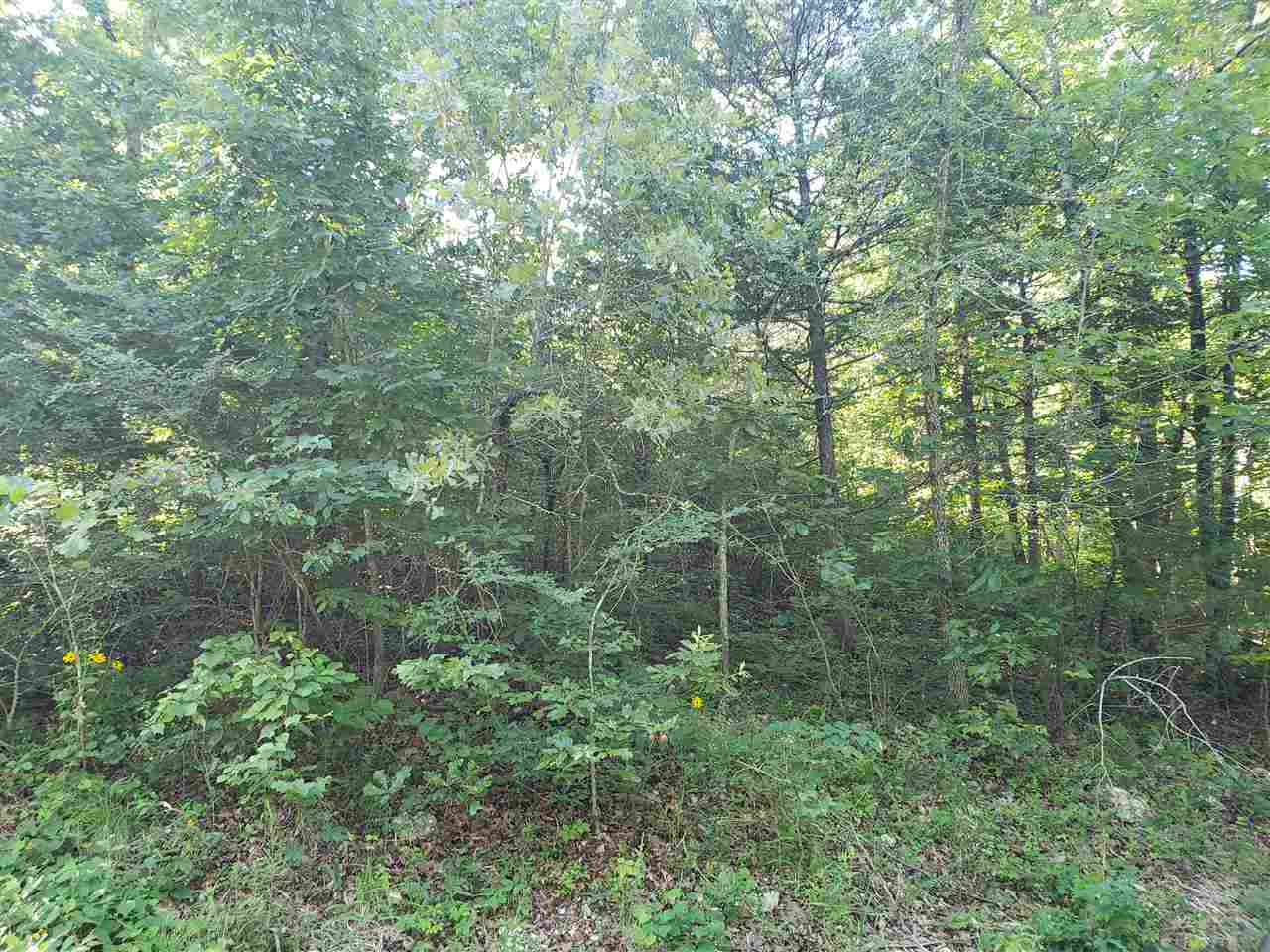 L-8, B-4 Haynie Circle Property Photo 10