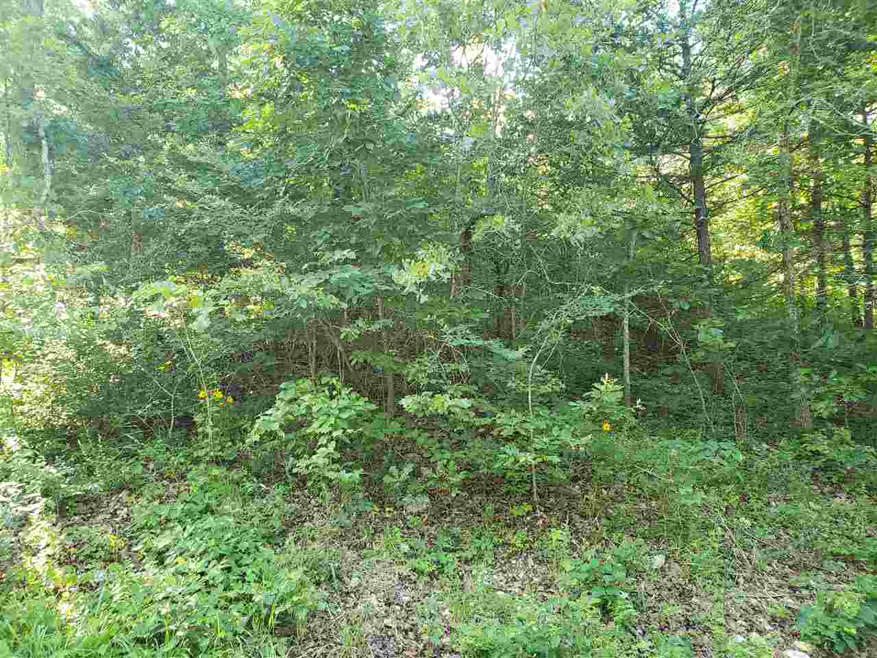 L-5, B-1 Arivaipa Drive Property Photo 8