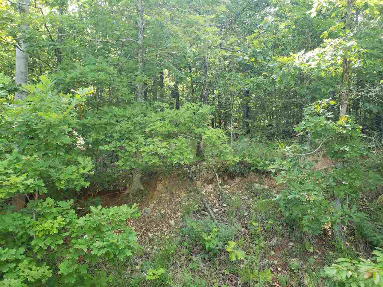 L-11, B-5 Nickajack Trace Property Photo 8