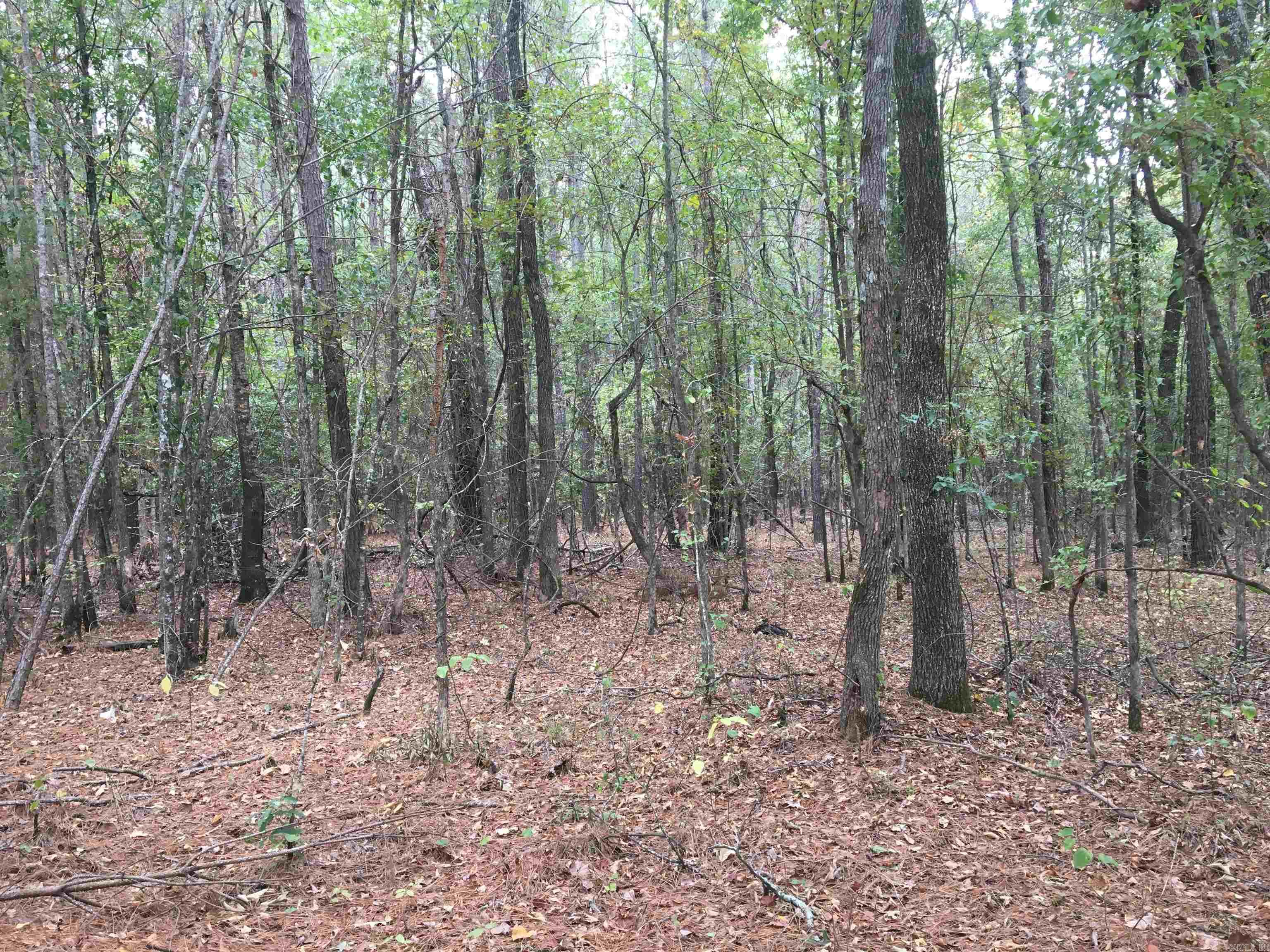 40 Acres Sulphur Springs Rd Property Photo 1