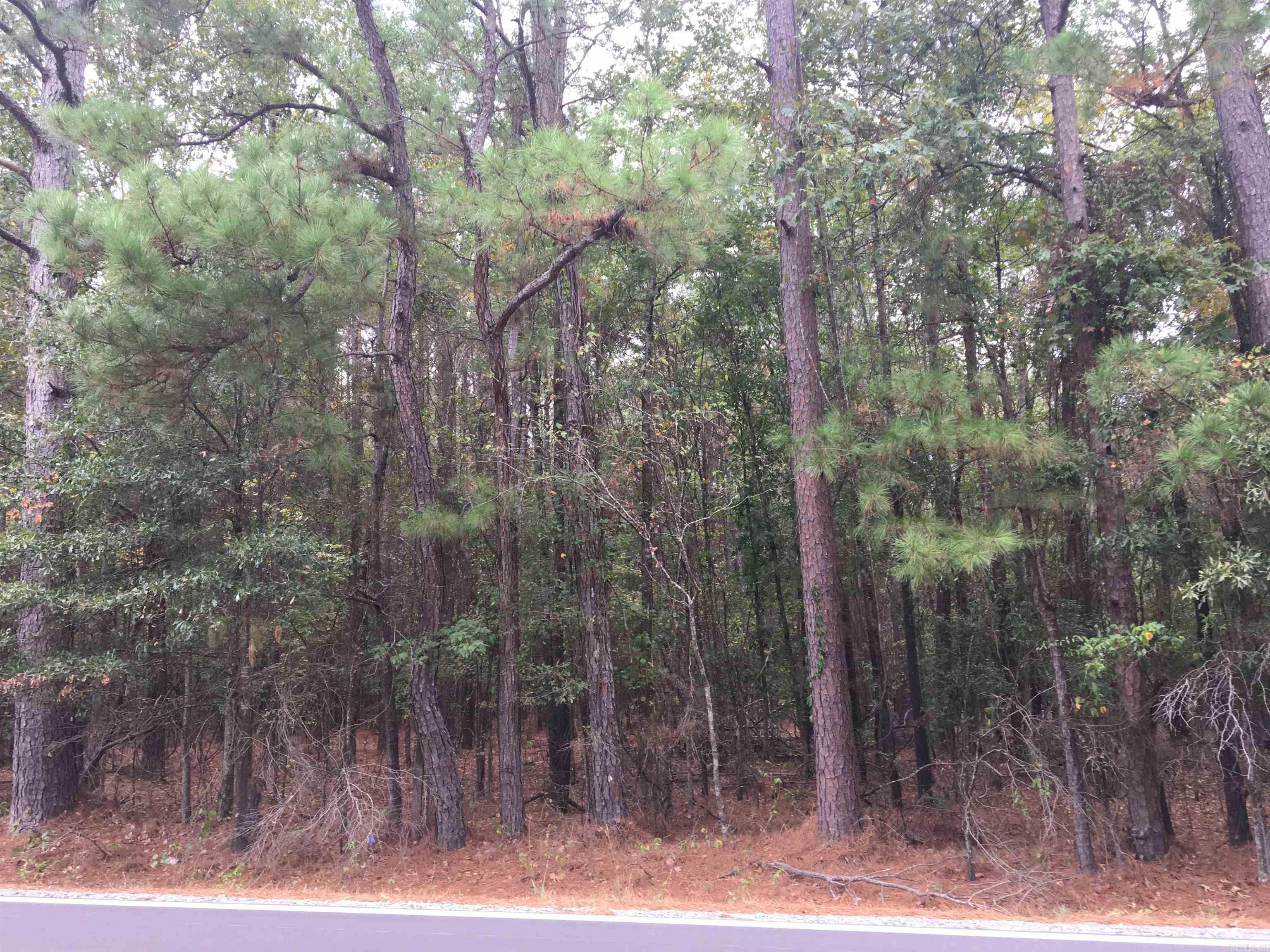 40 Acres Sulphur Springs Rd Property Photo 2