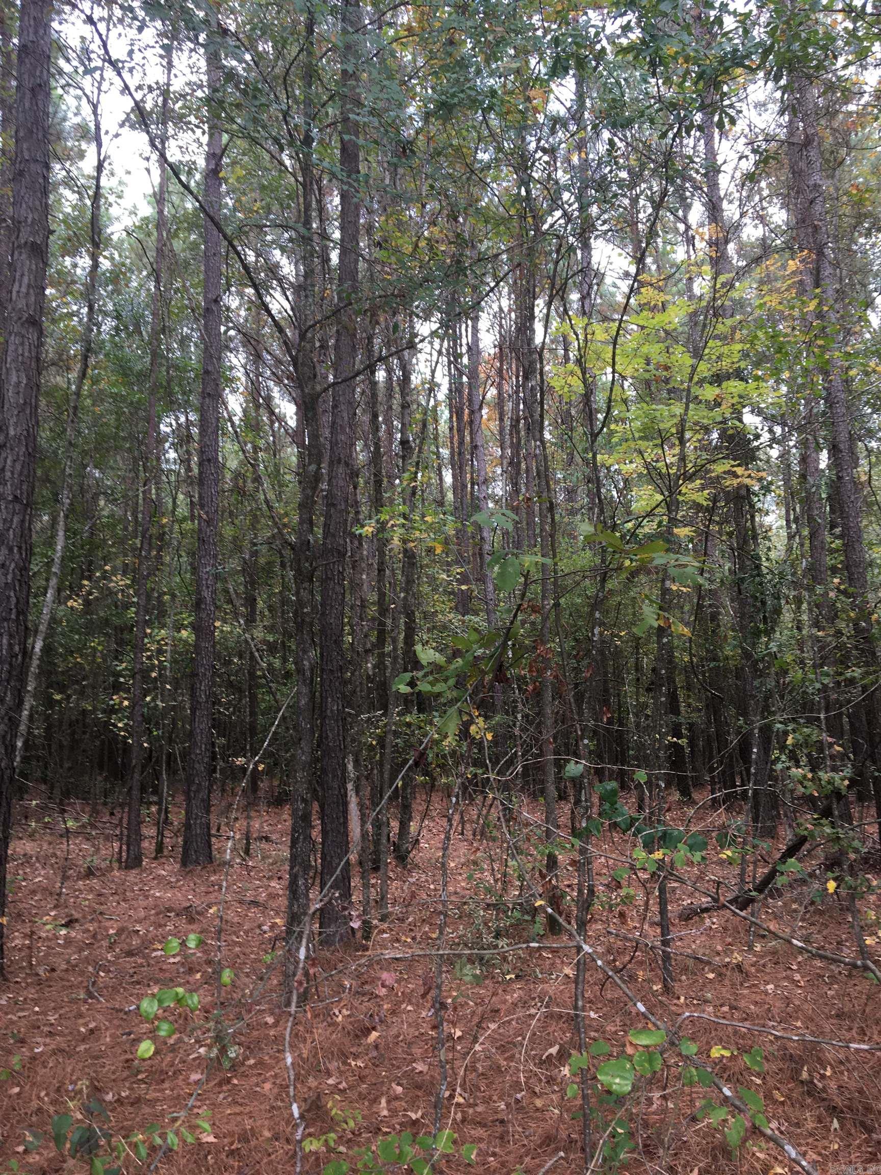 40 Acres Sulphur Springs Rd Property Photo 3
